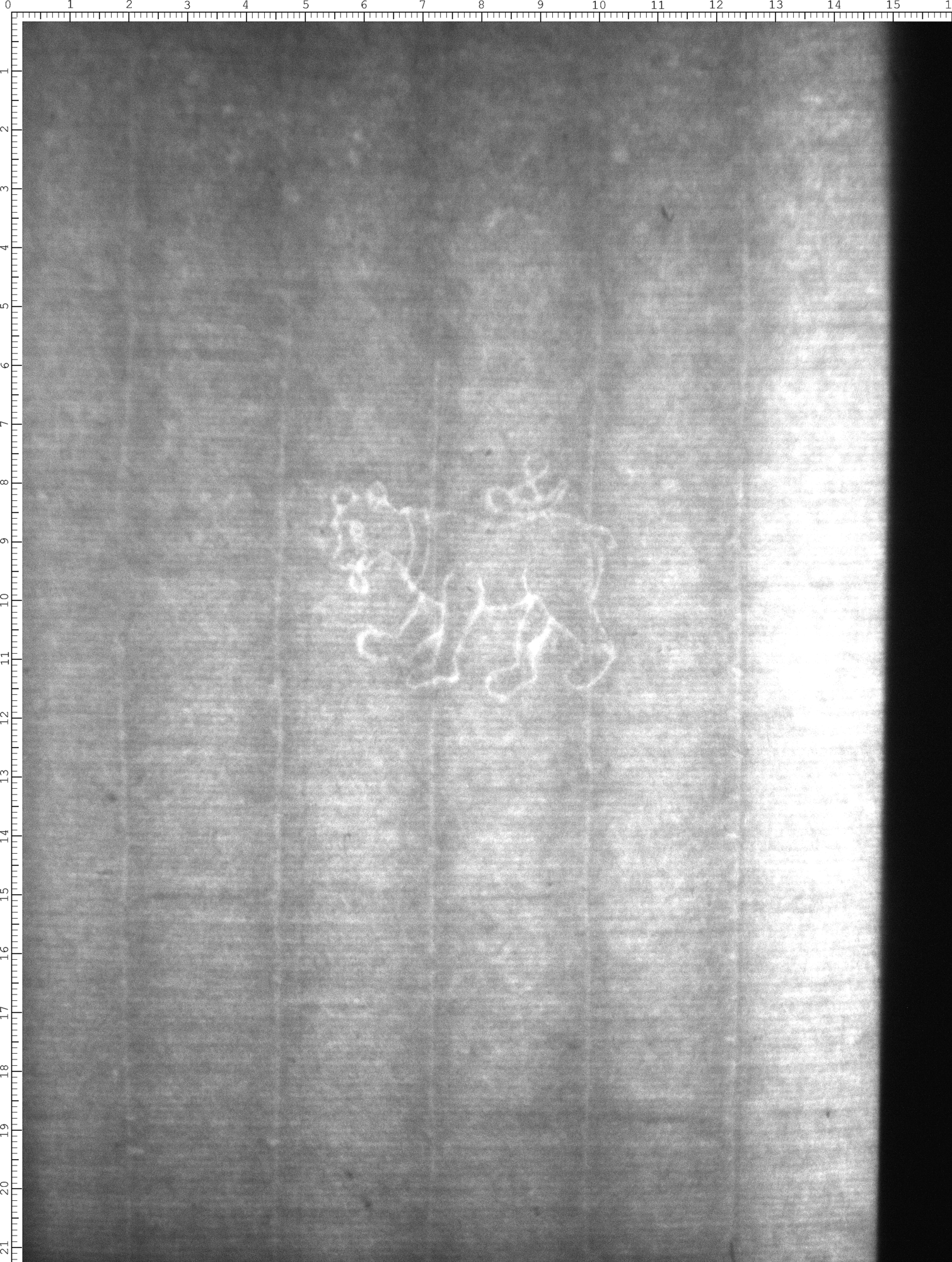Watermark