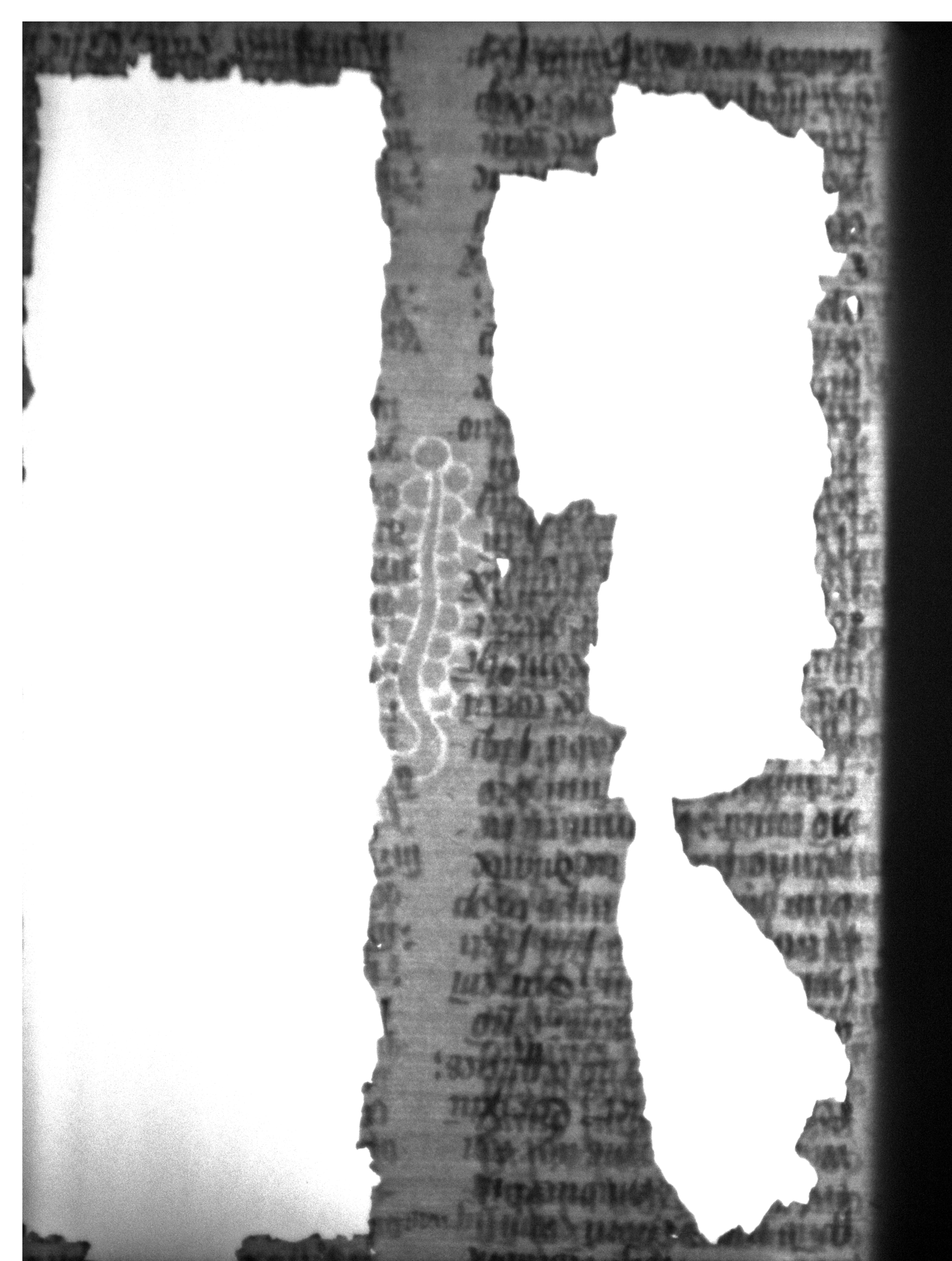 Watermark