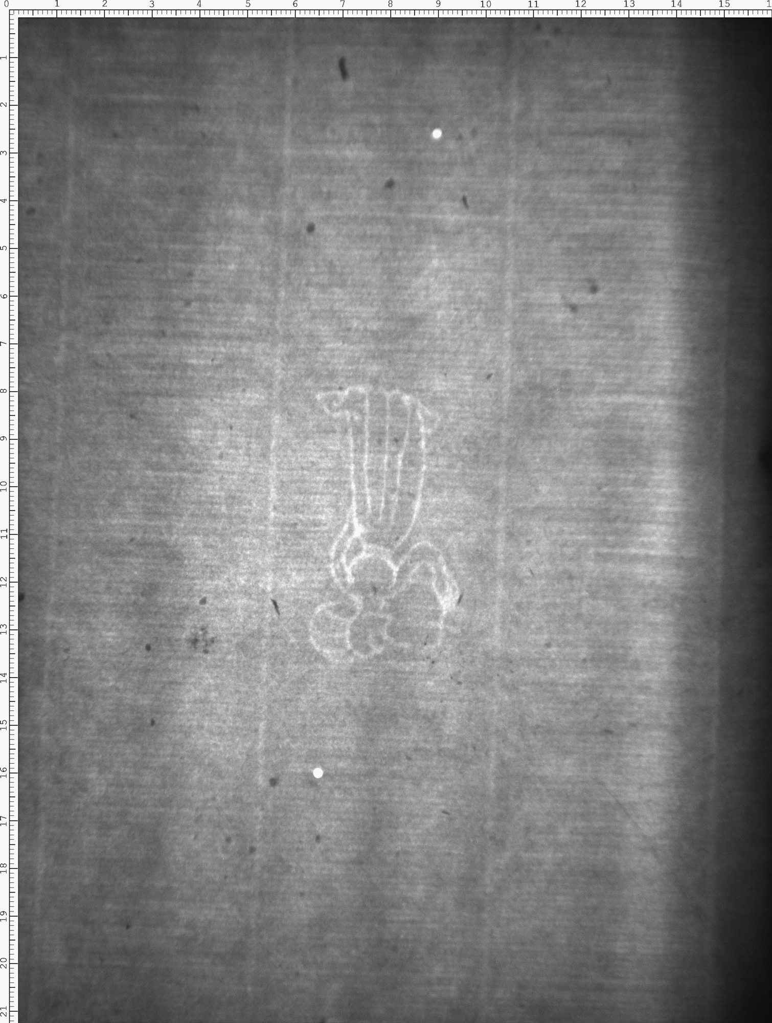 Watermark