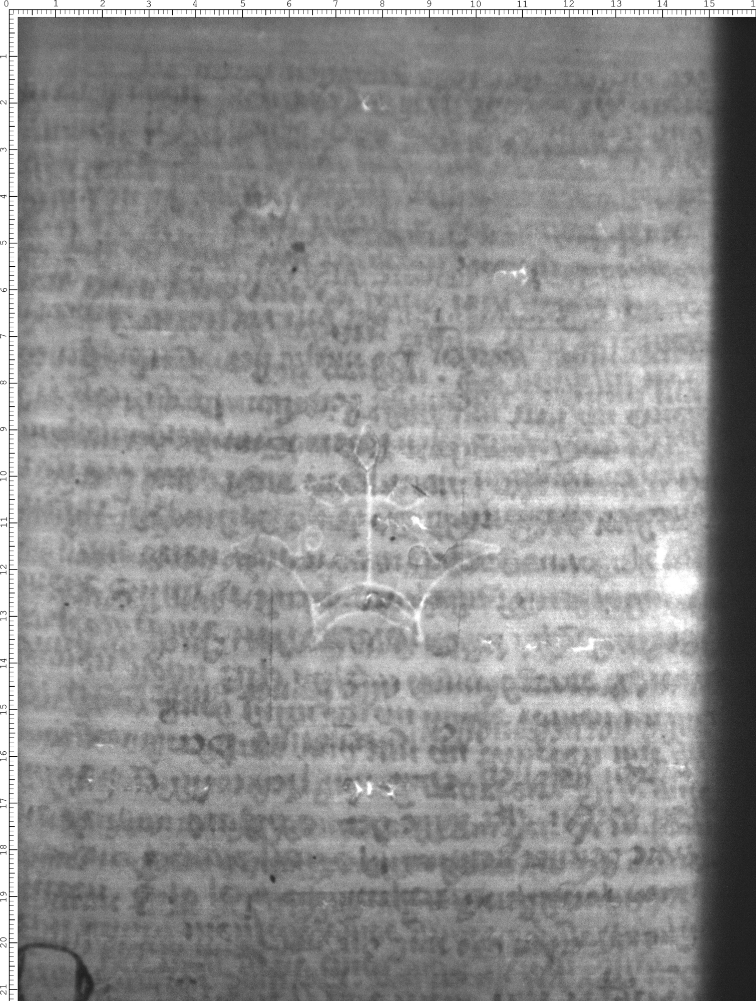 Watermark