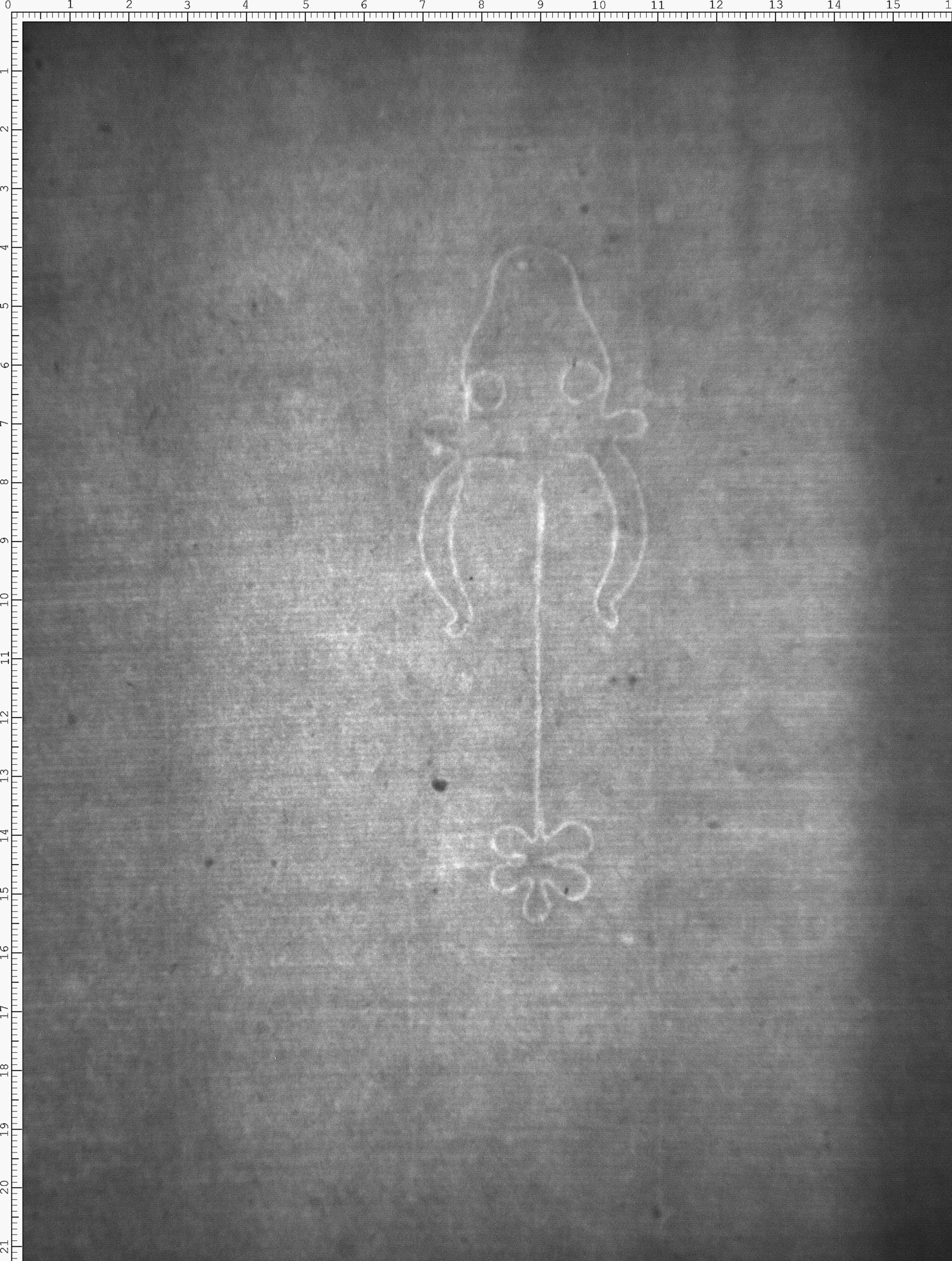 Watermark