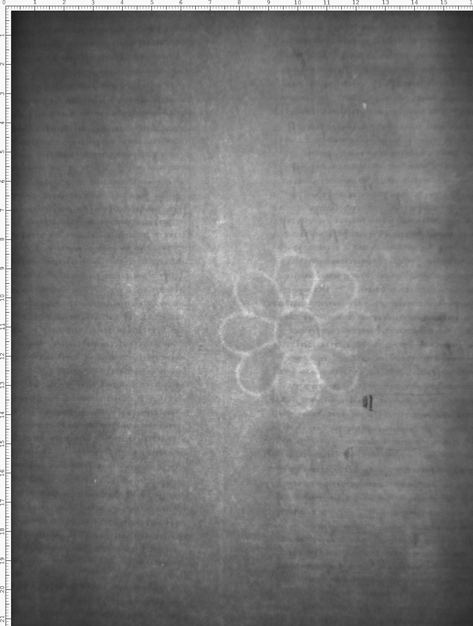Watermark