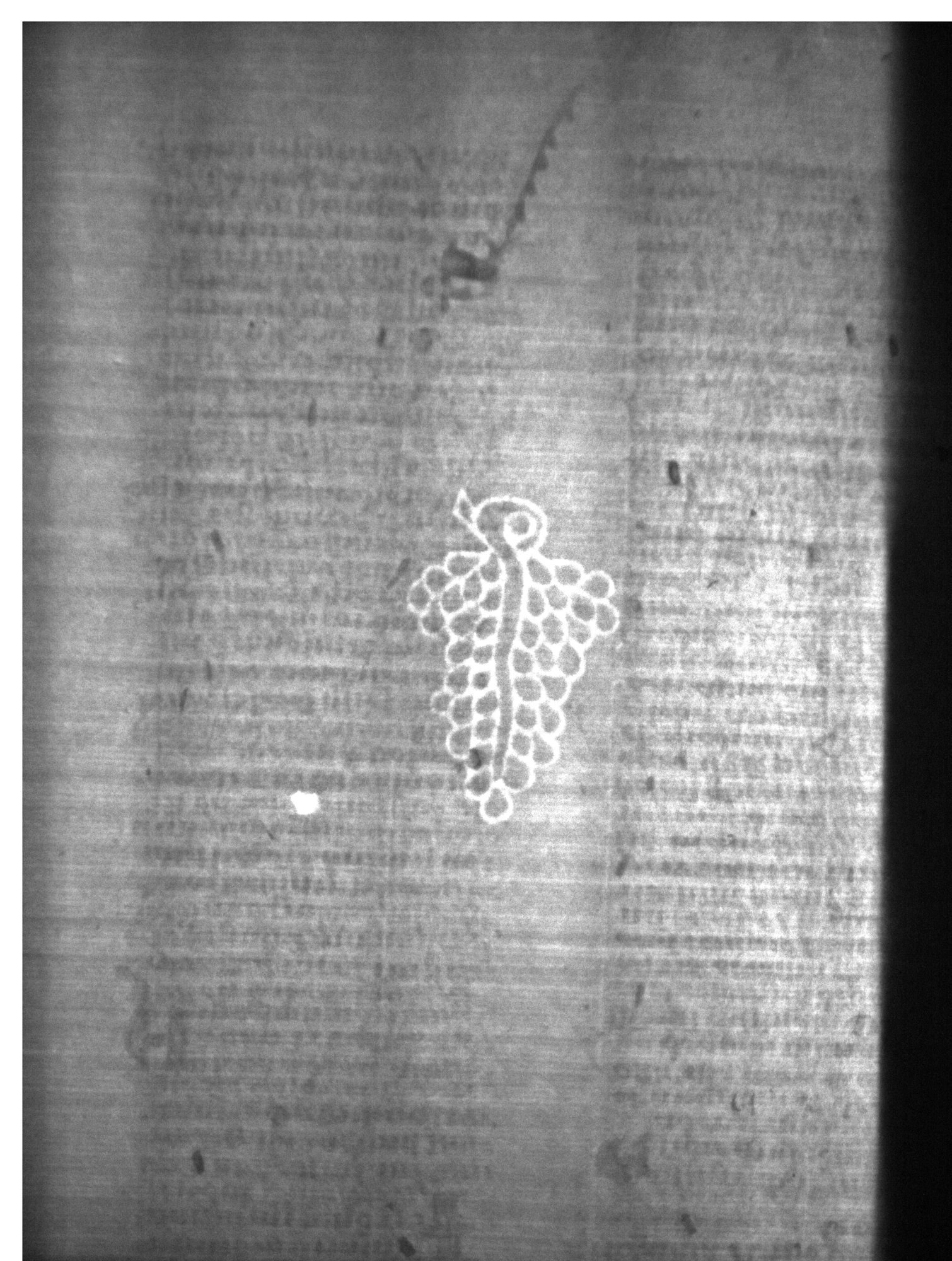 Watermark