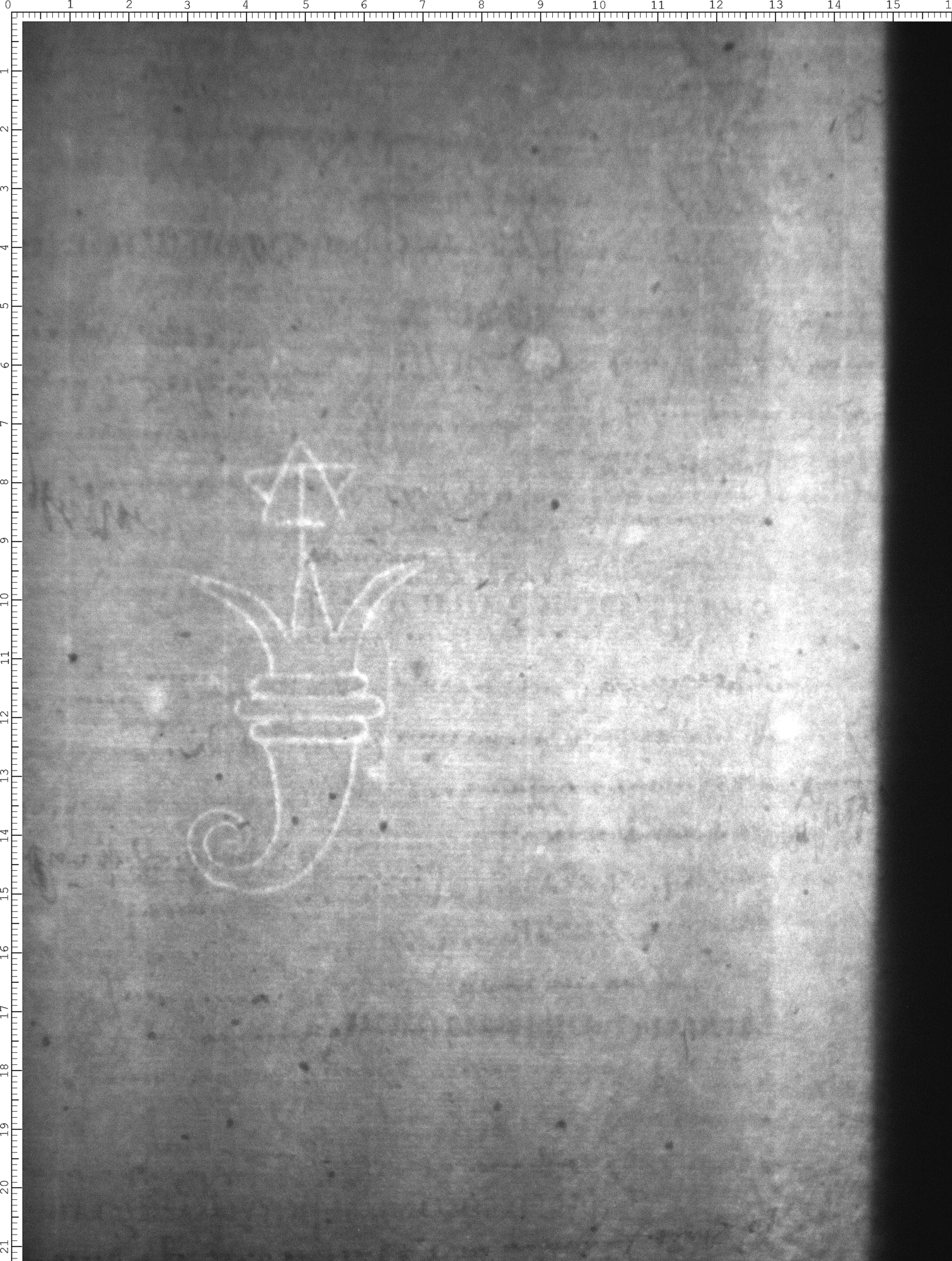 Watermark