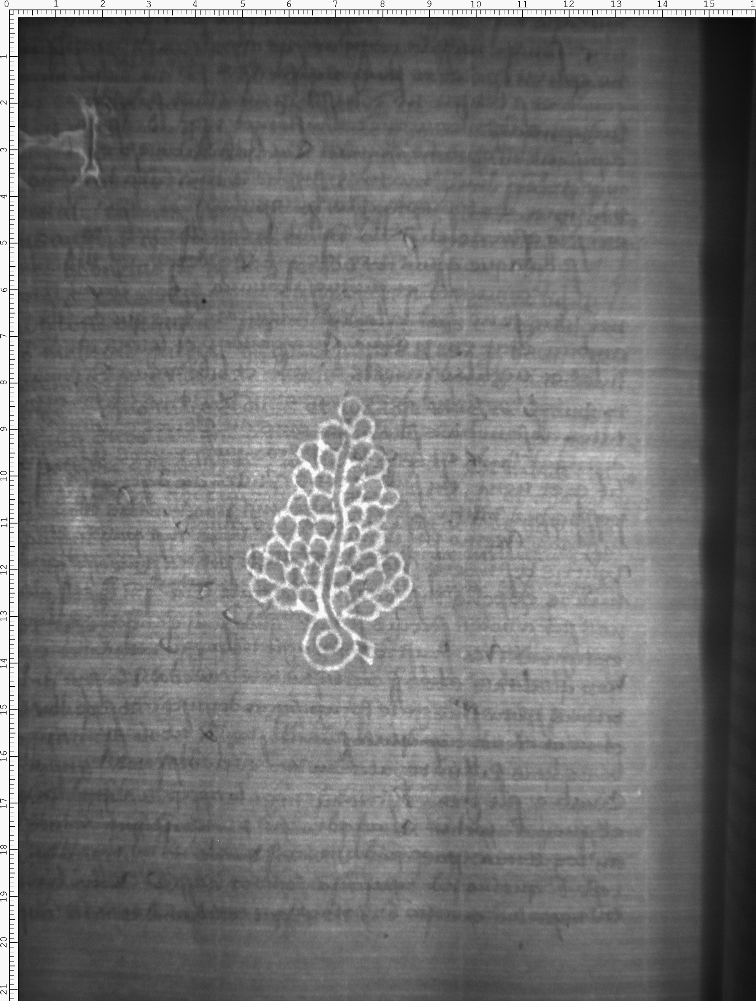 Watermark