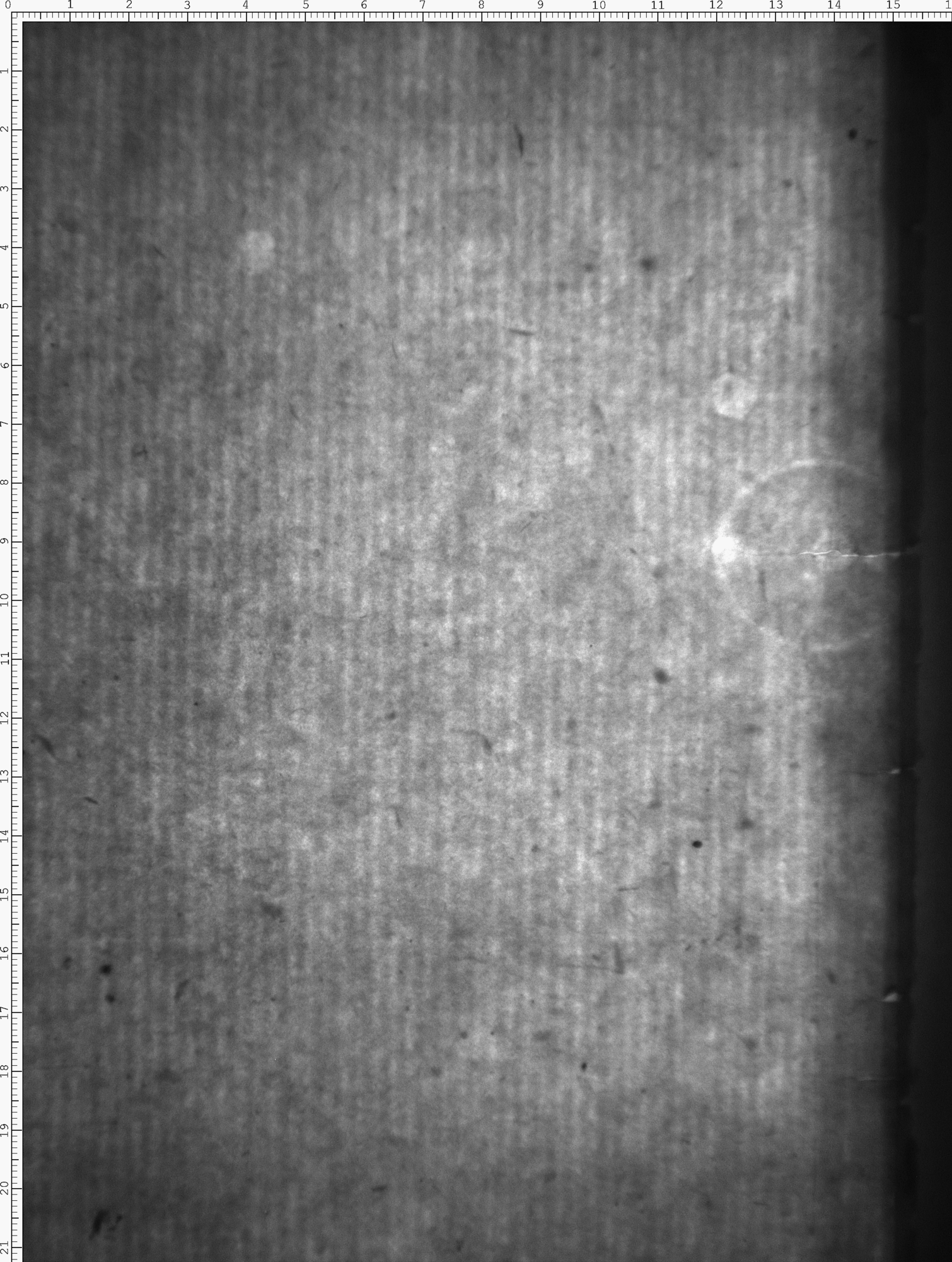 Watermark