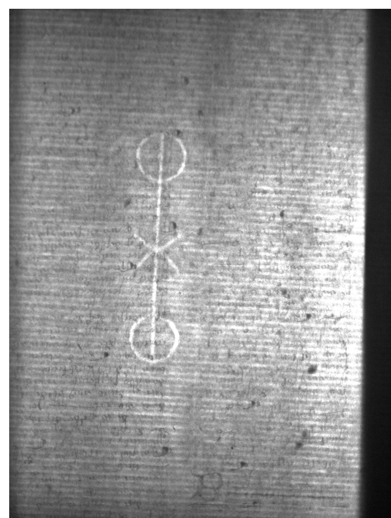 Watermark