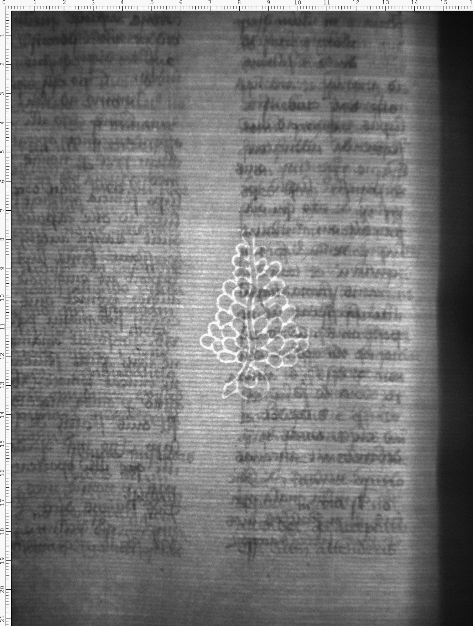 Watermark