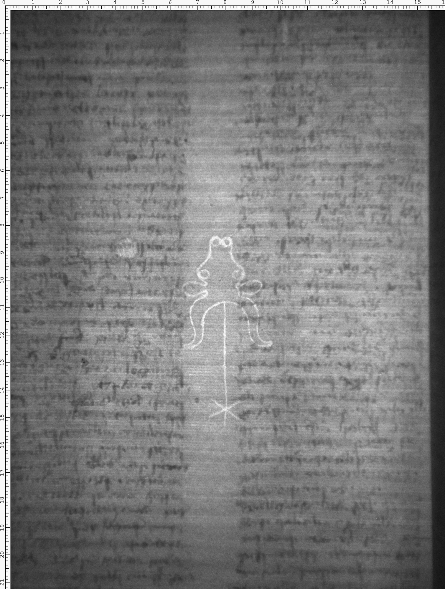 Watermark