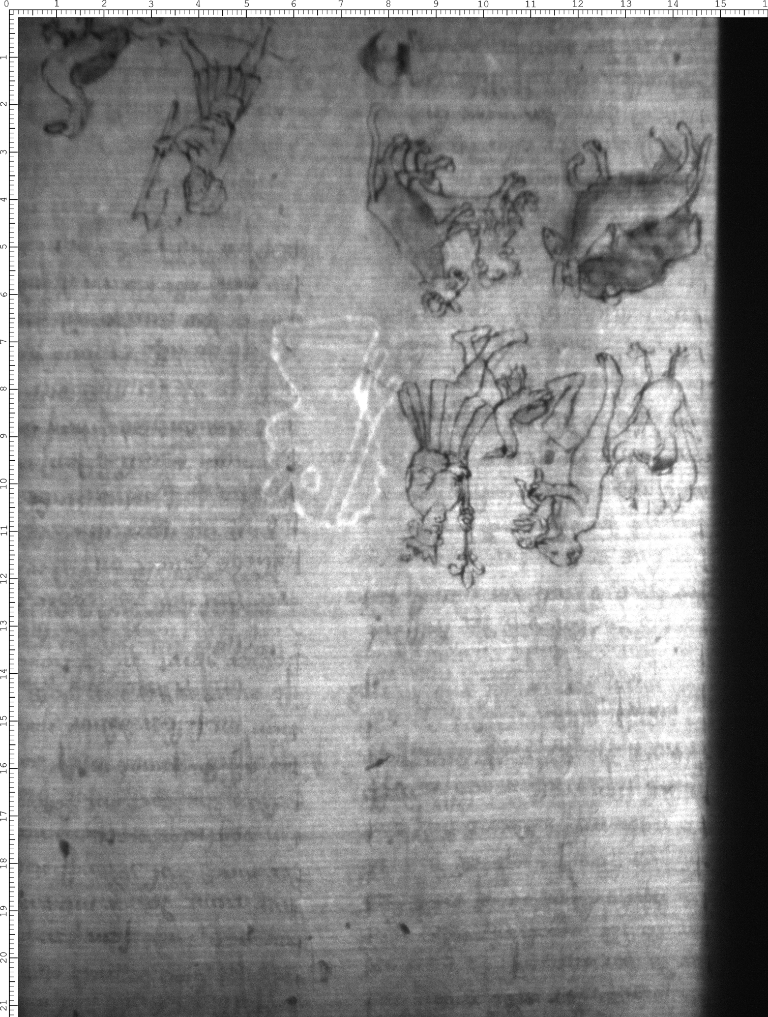 Watermark