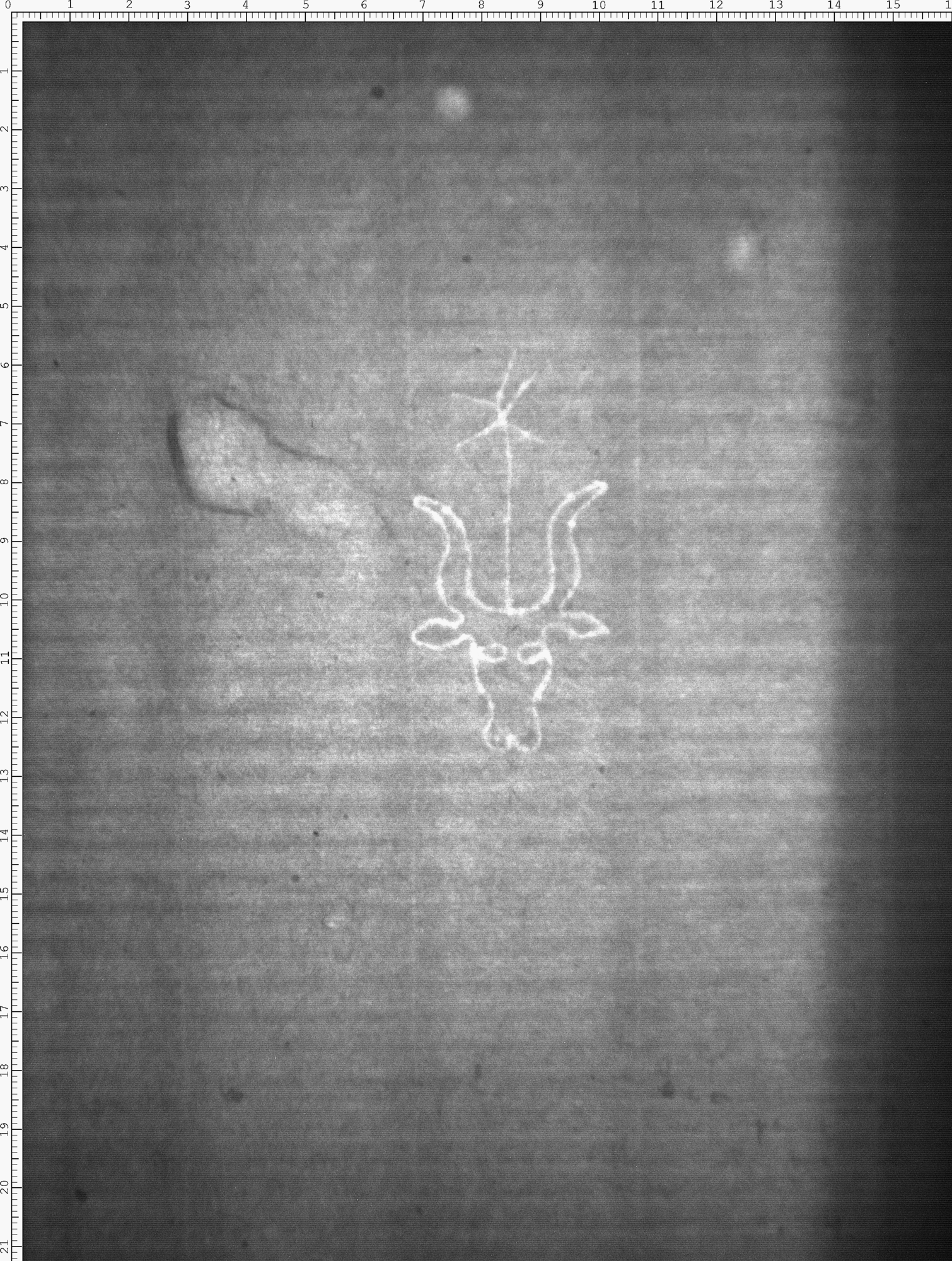 Watermark