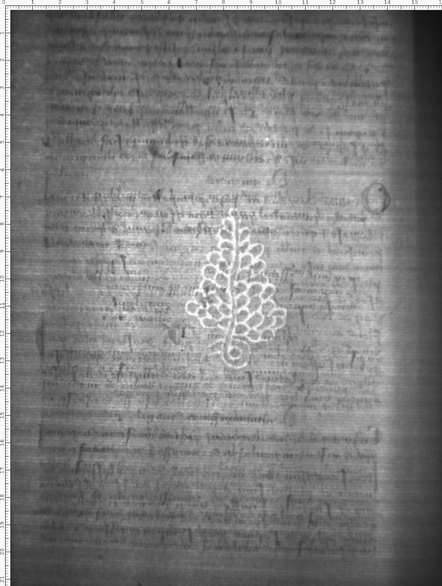 Watermark