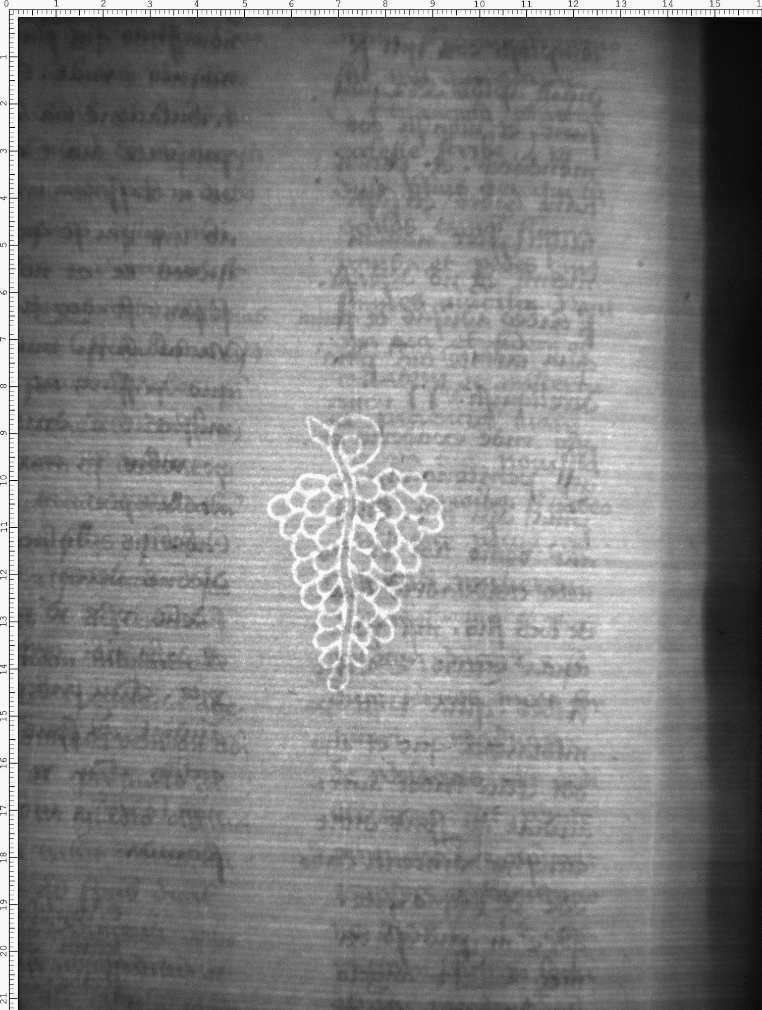 Watermark