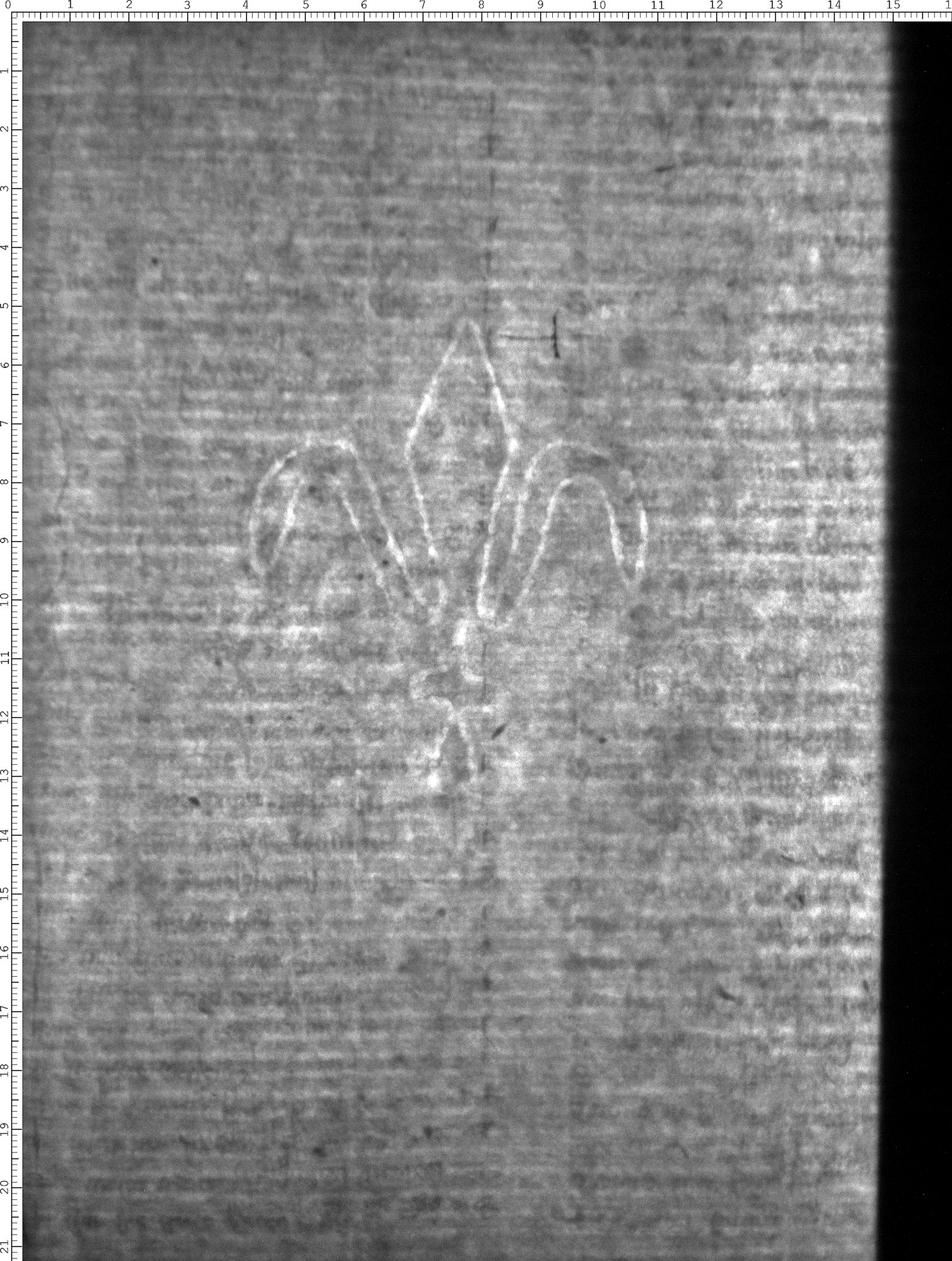 Watermark
