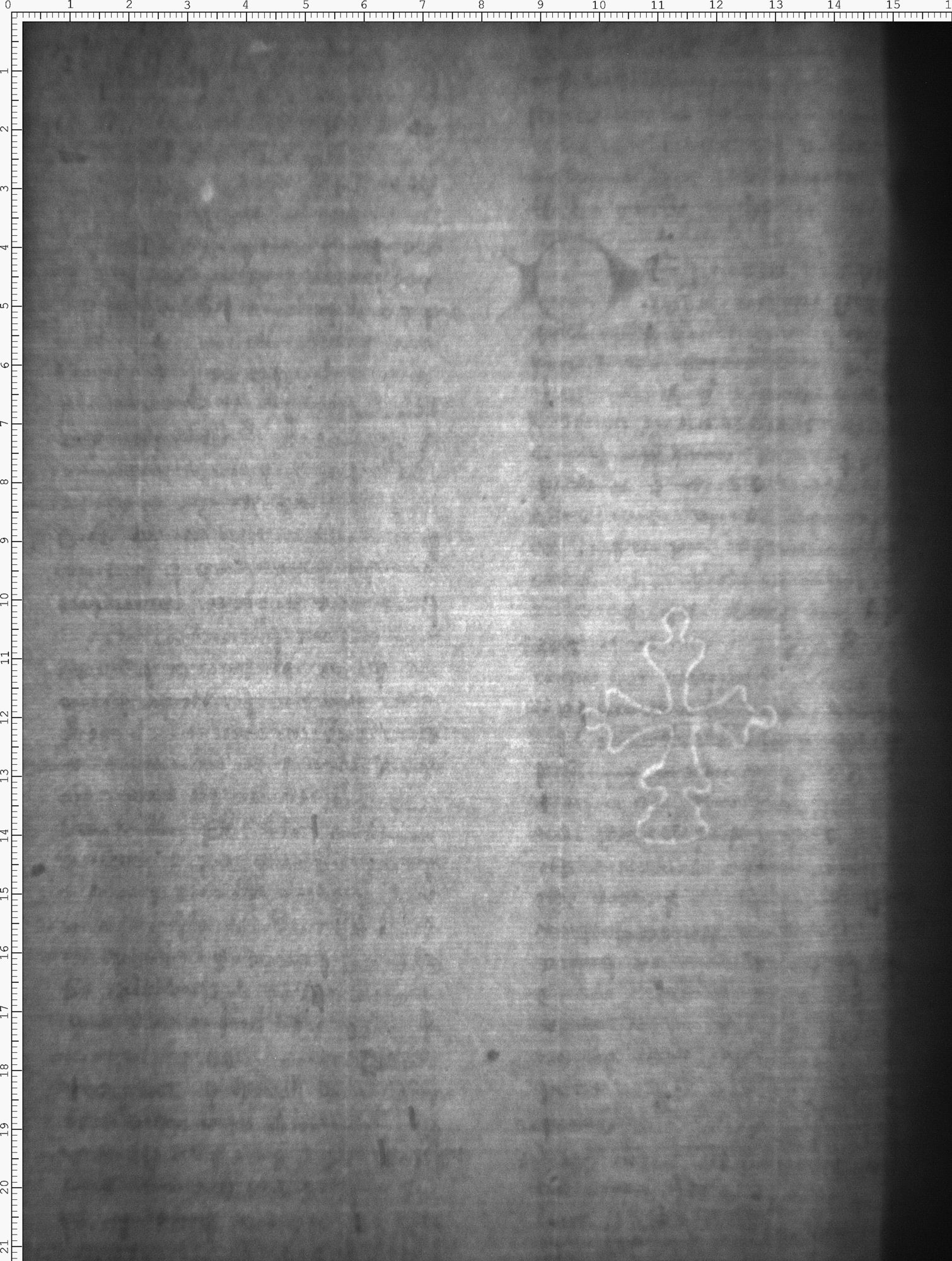 Watermark
