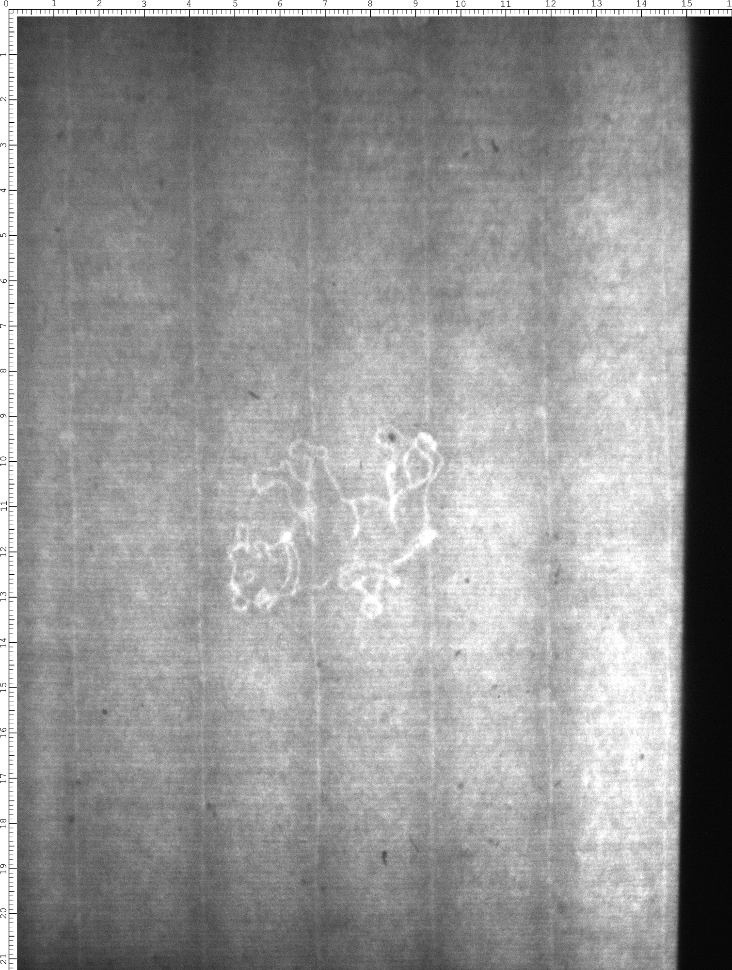 Watermark