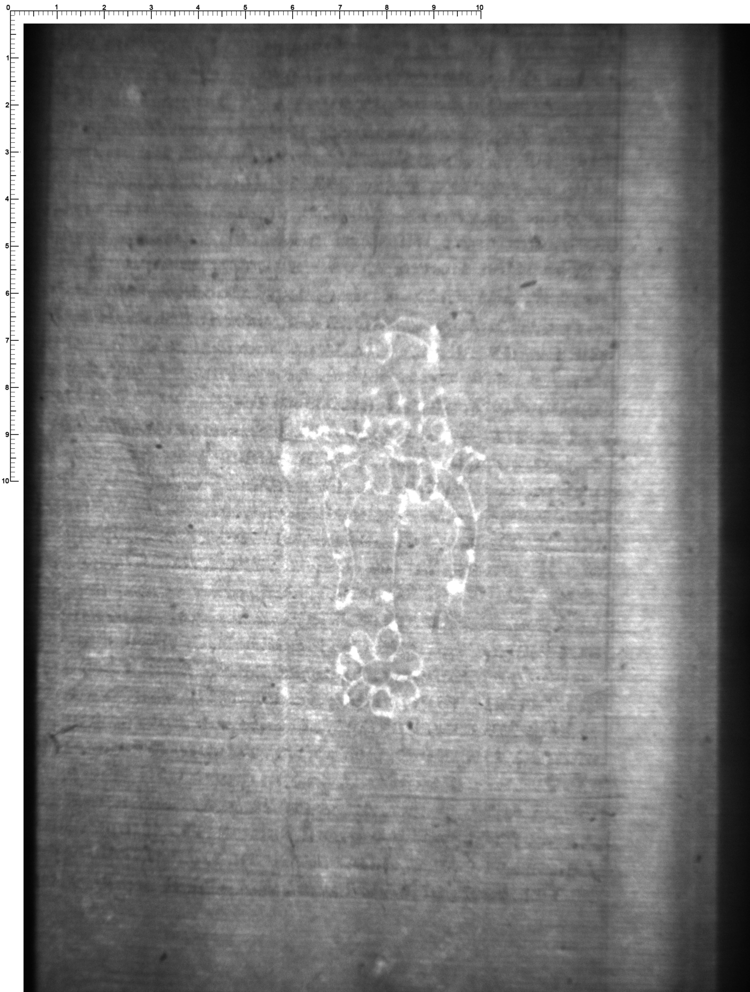 Watermark