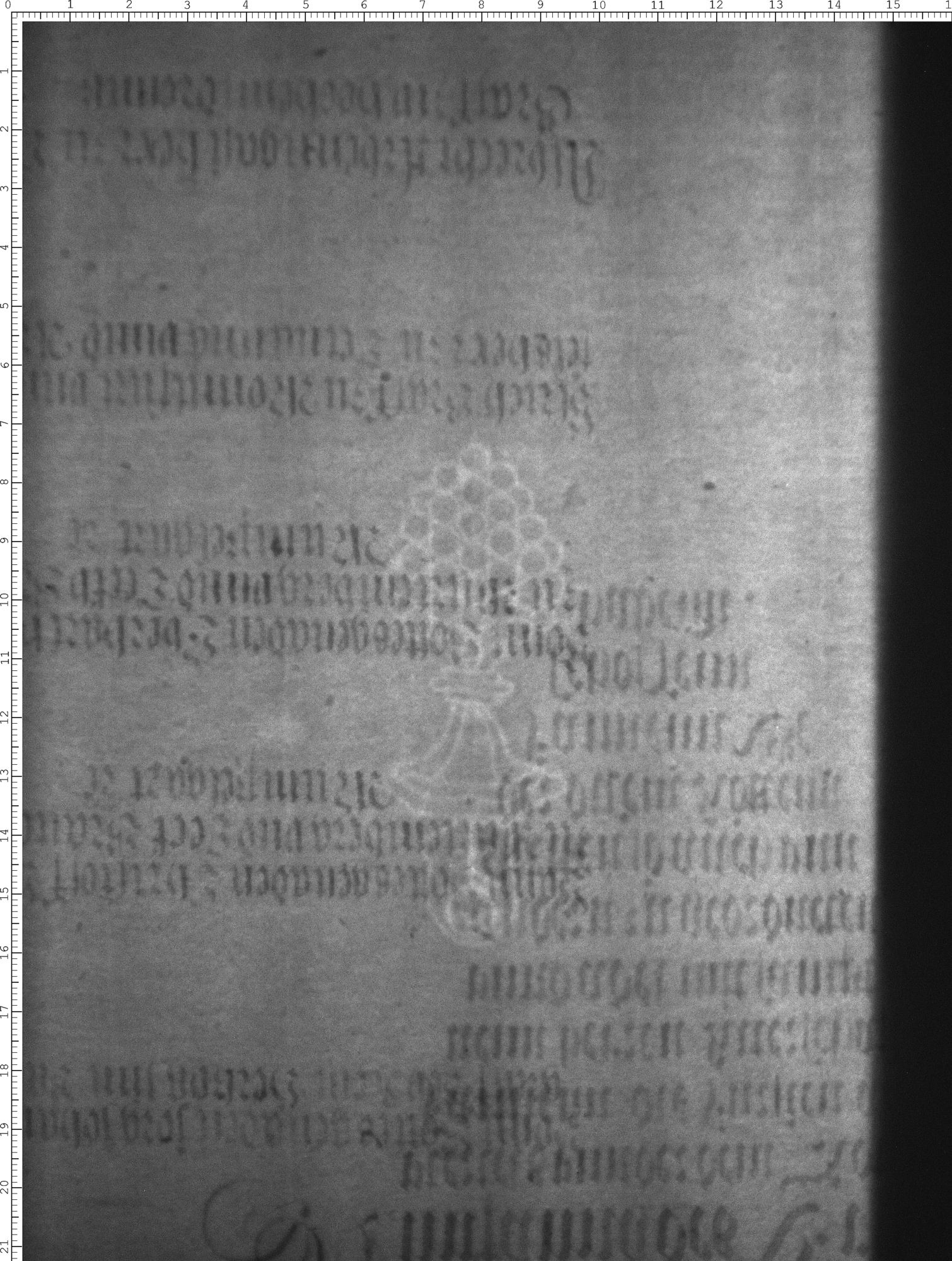 Watermark