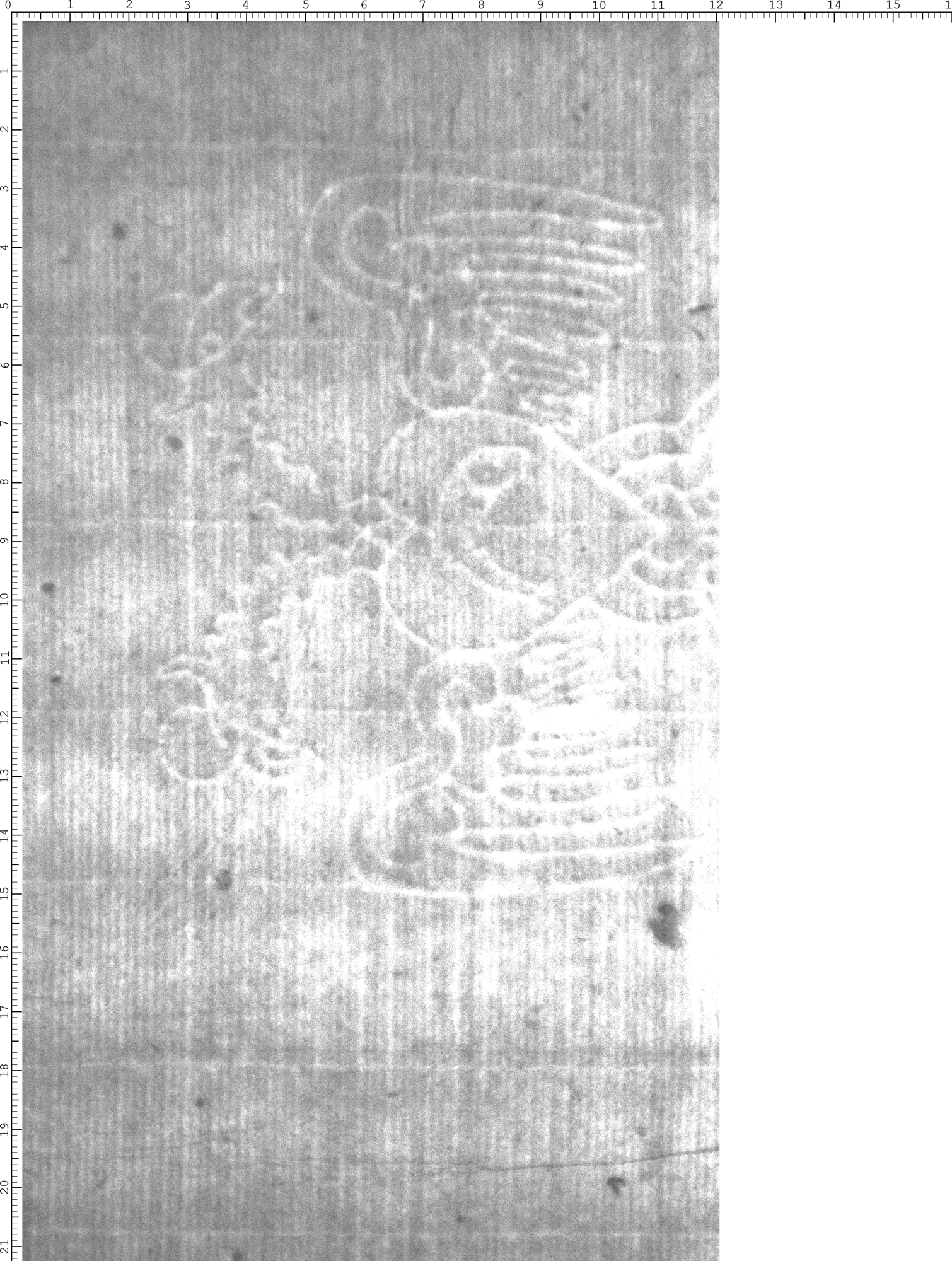 Watermark