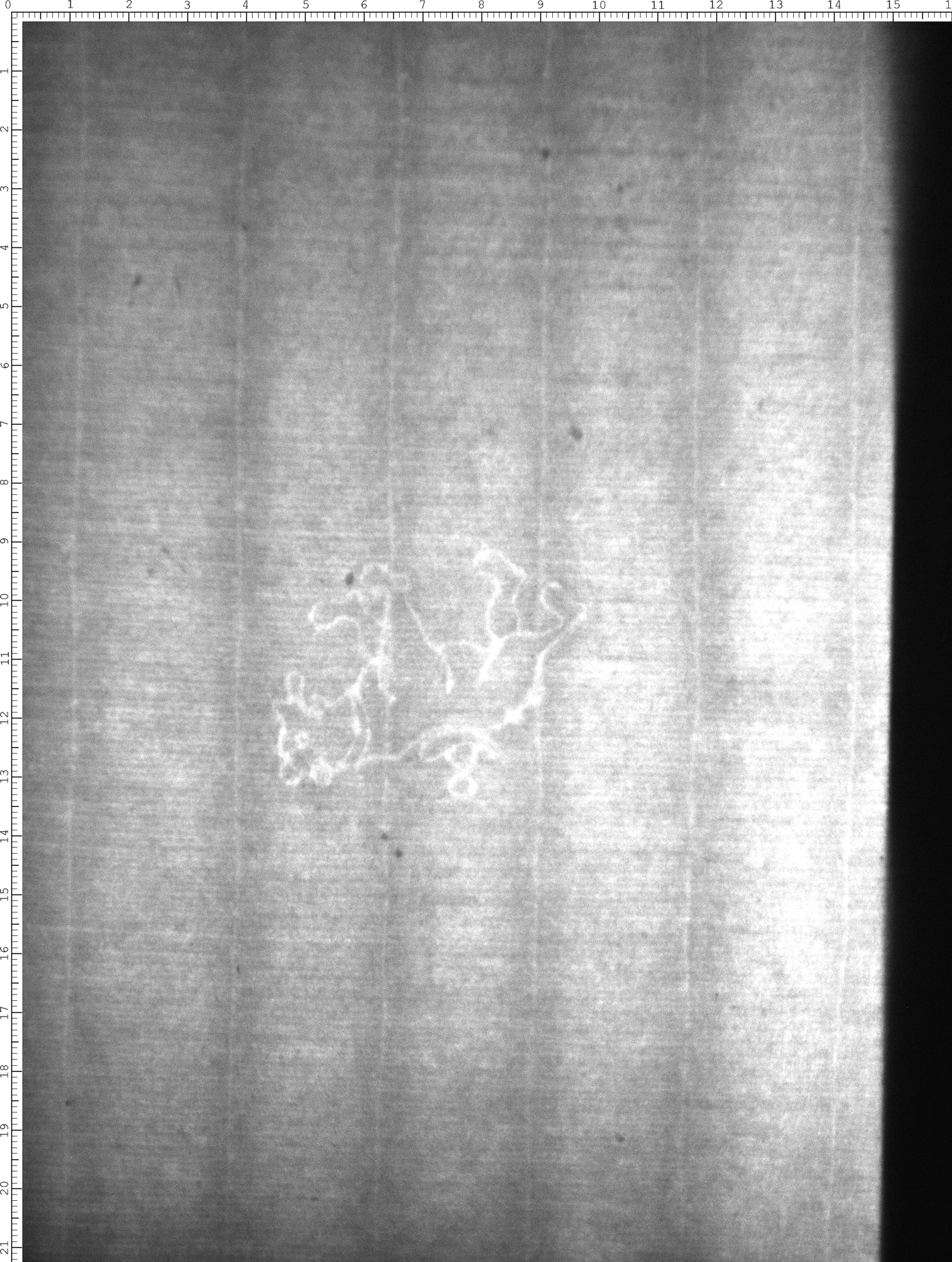 Watermark