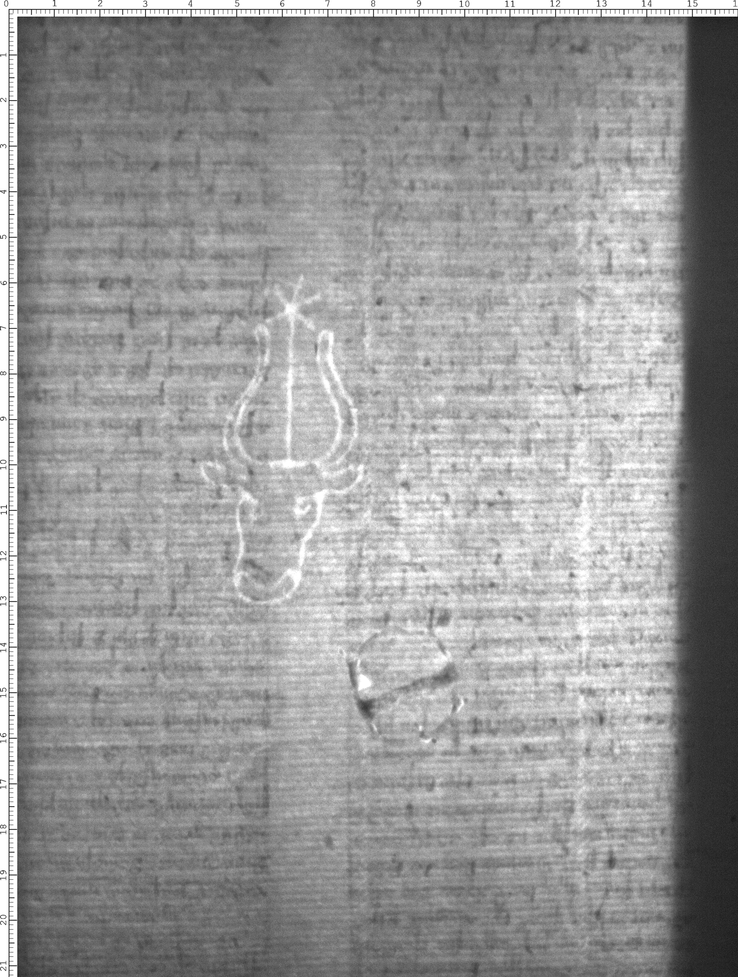 Watermark