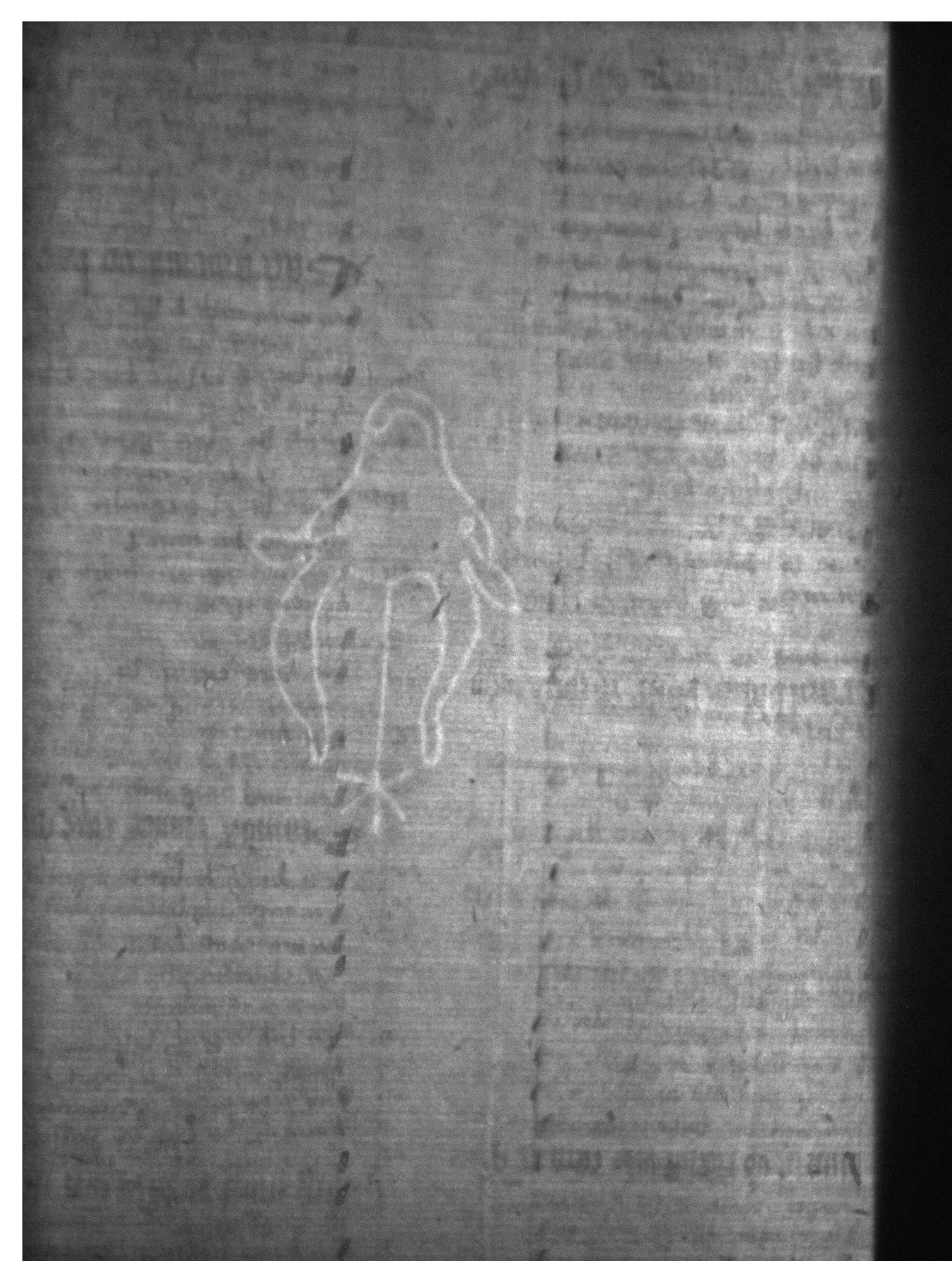 Watermark
