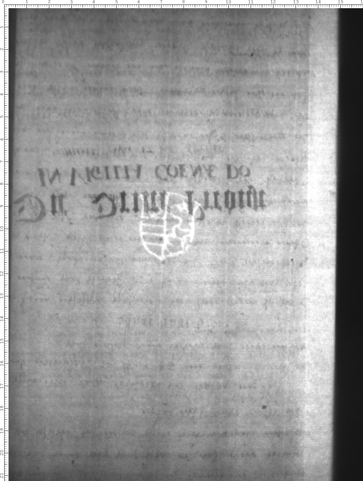 Watermark