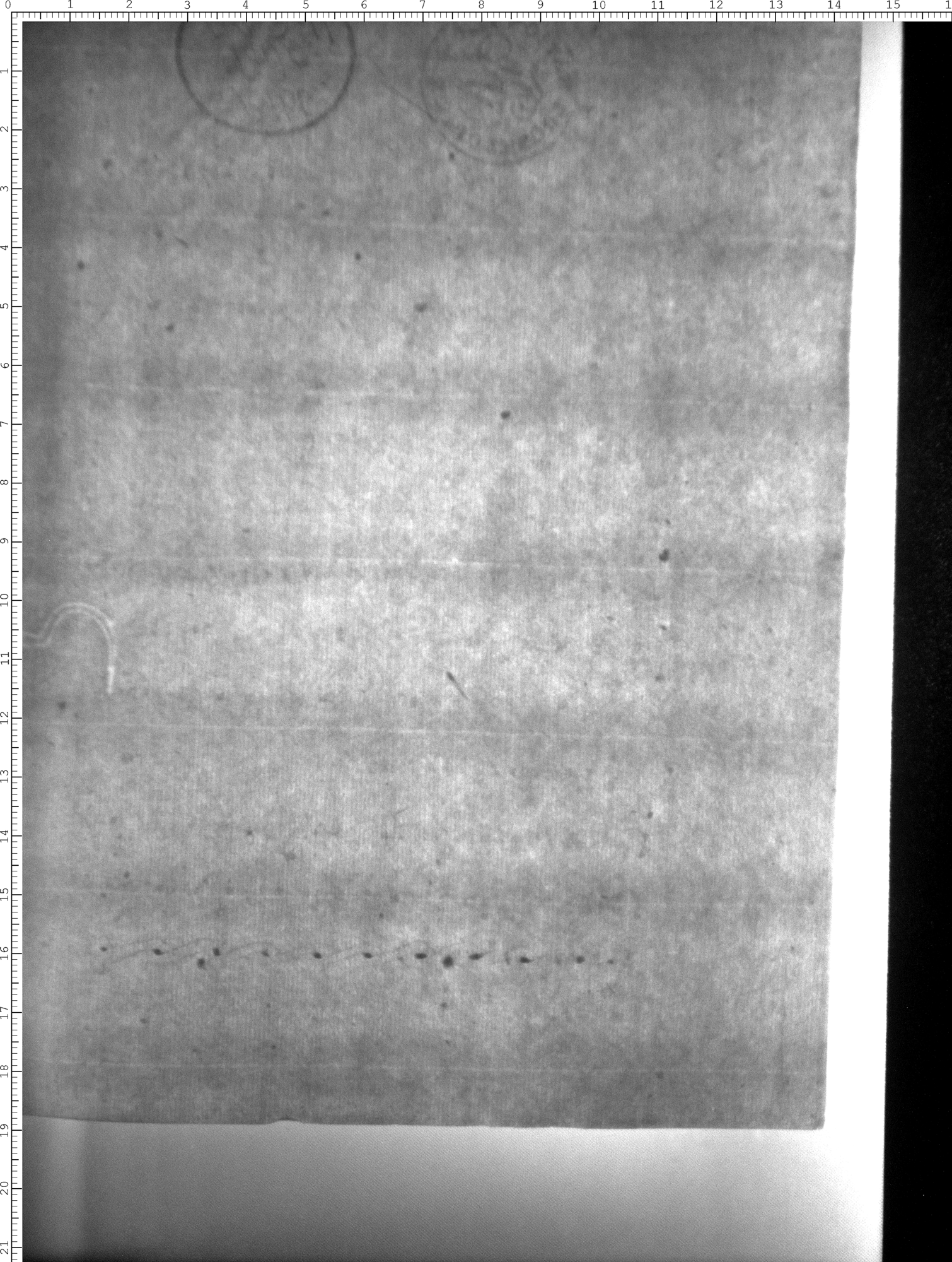 Watermark