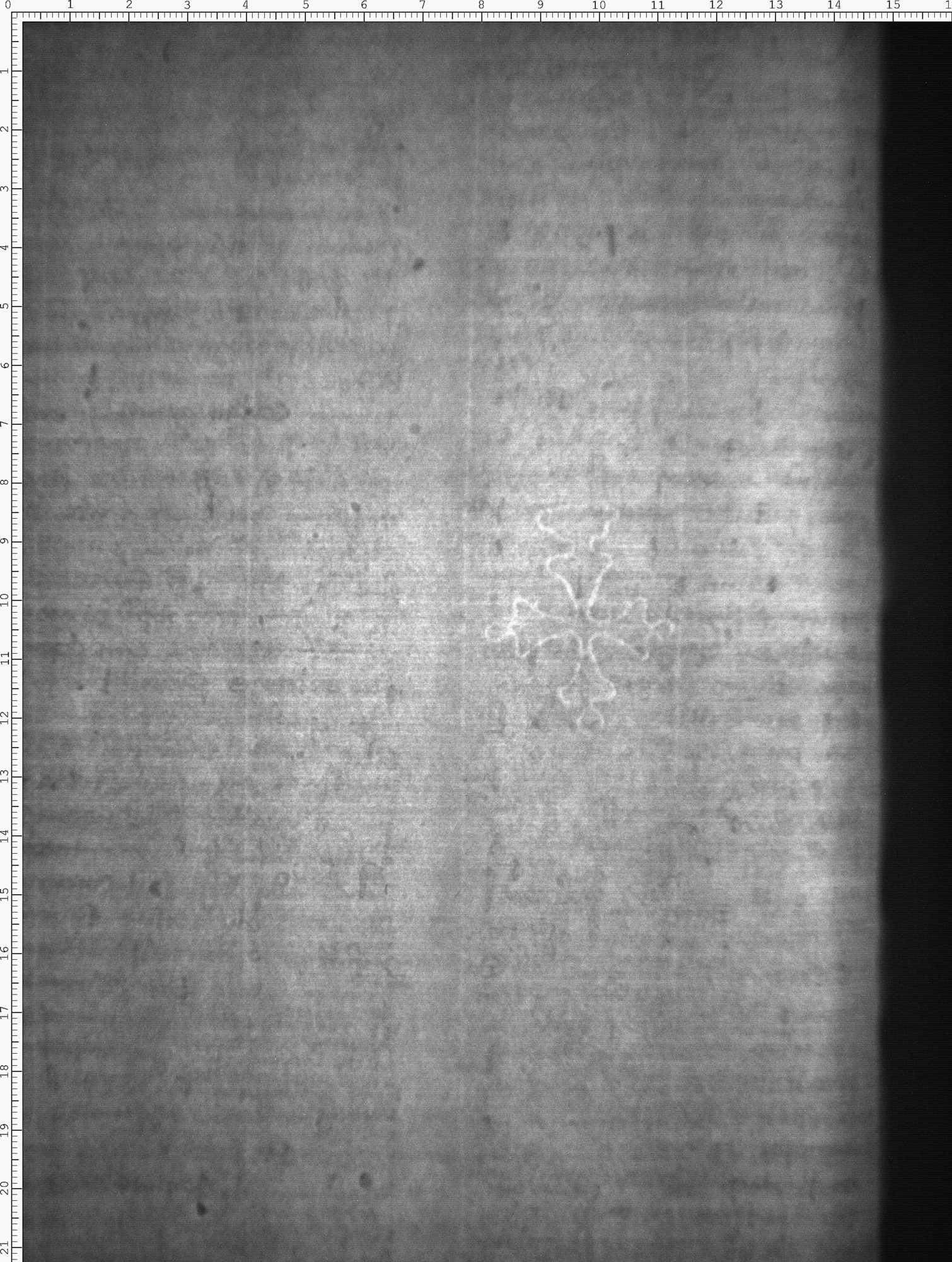 Watermark