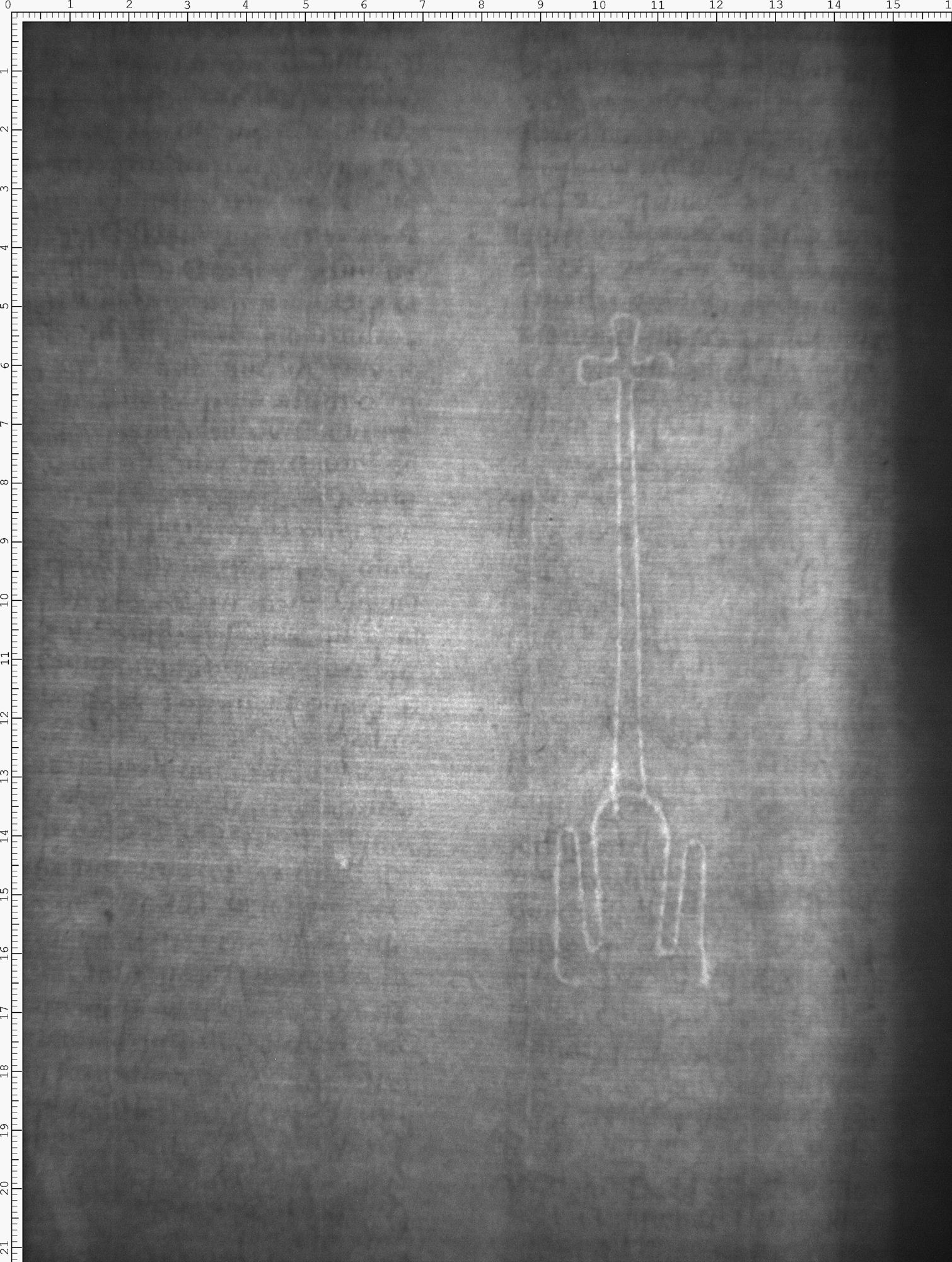 Watermark