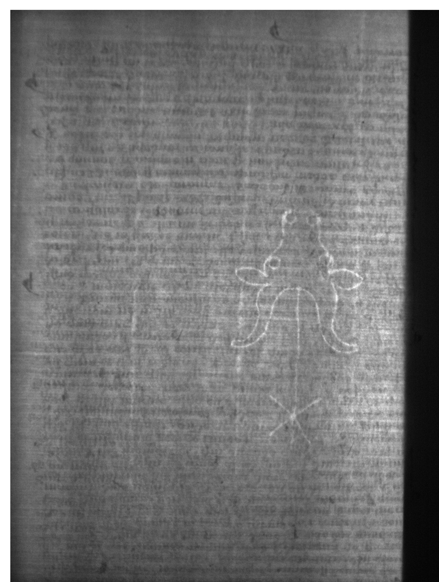 Watermark