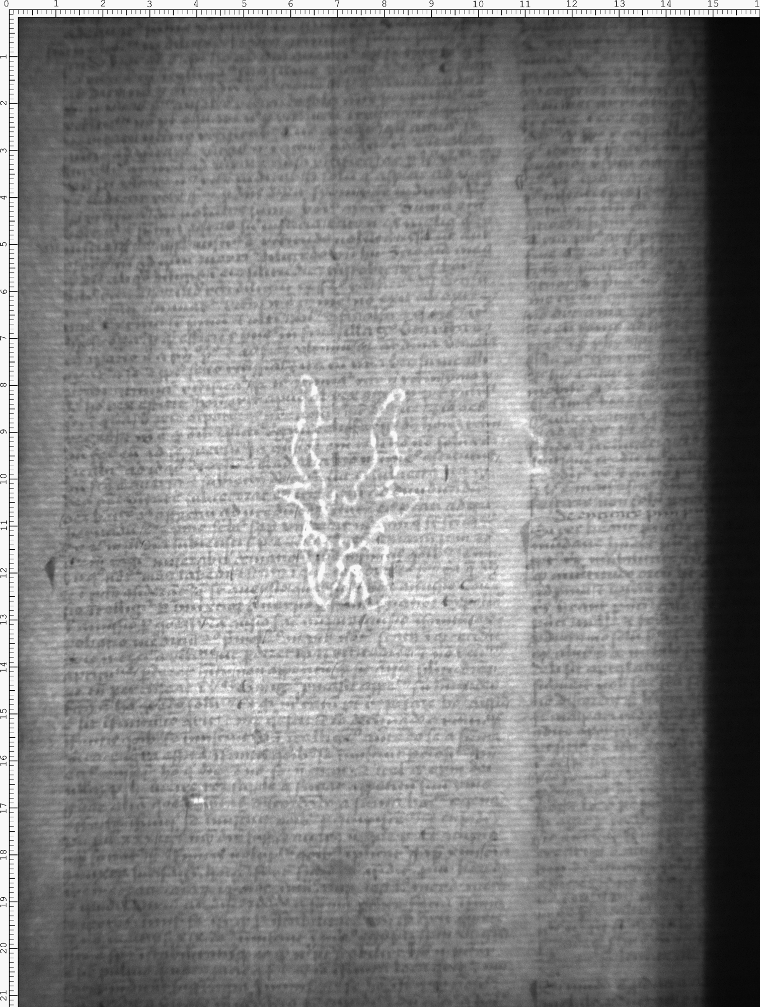 Watermark