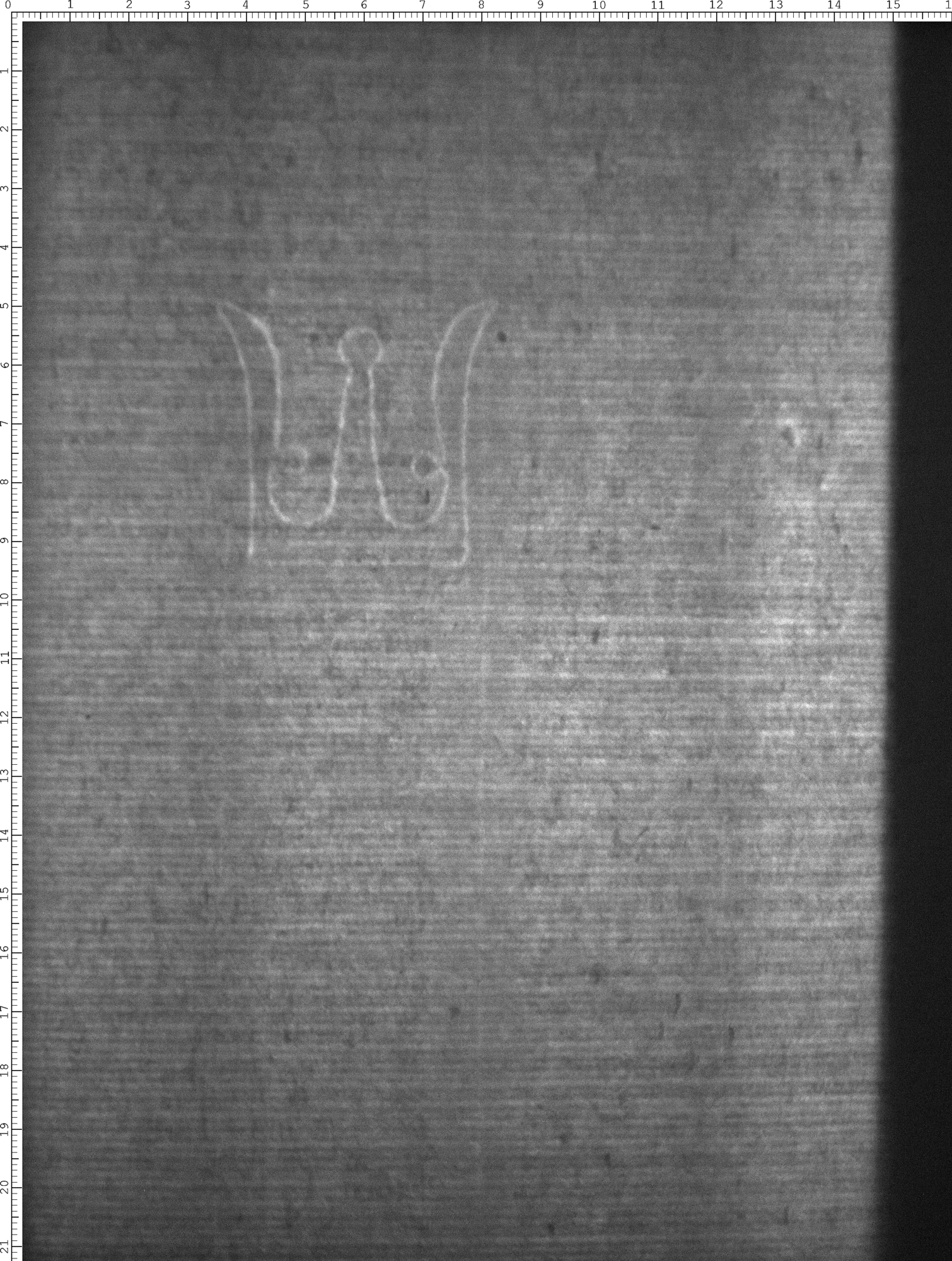 Watermark