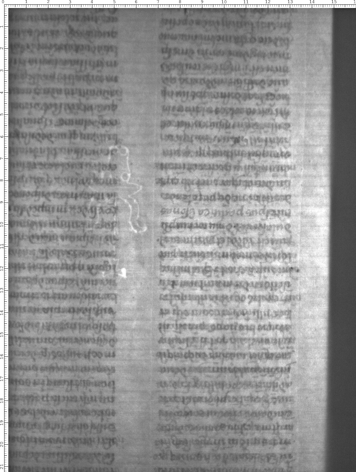 Watermark