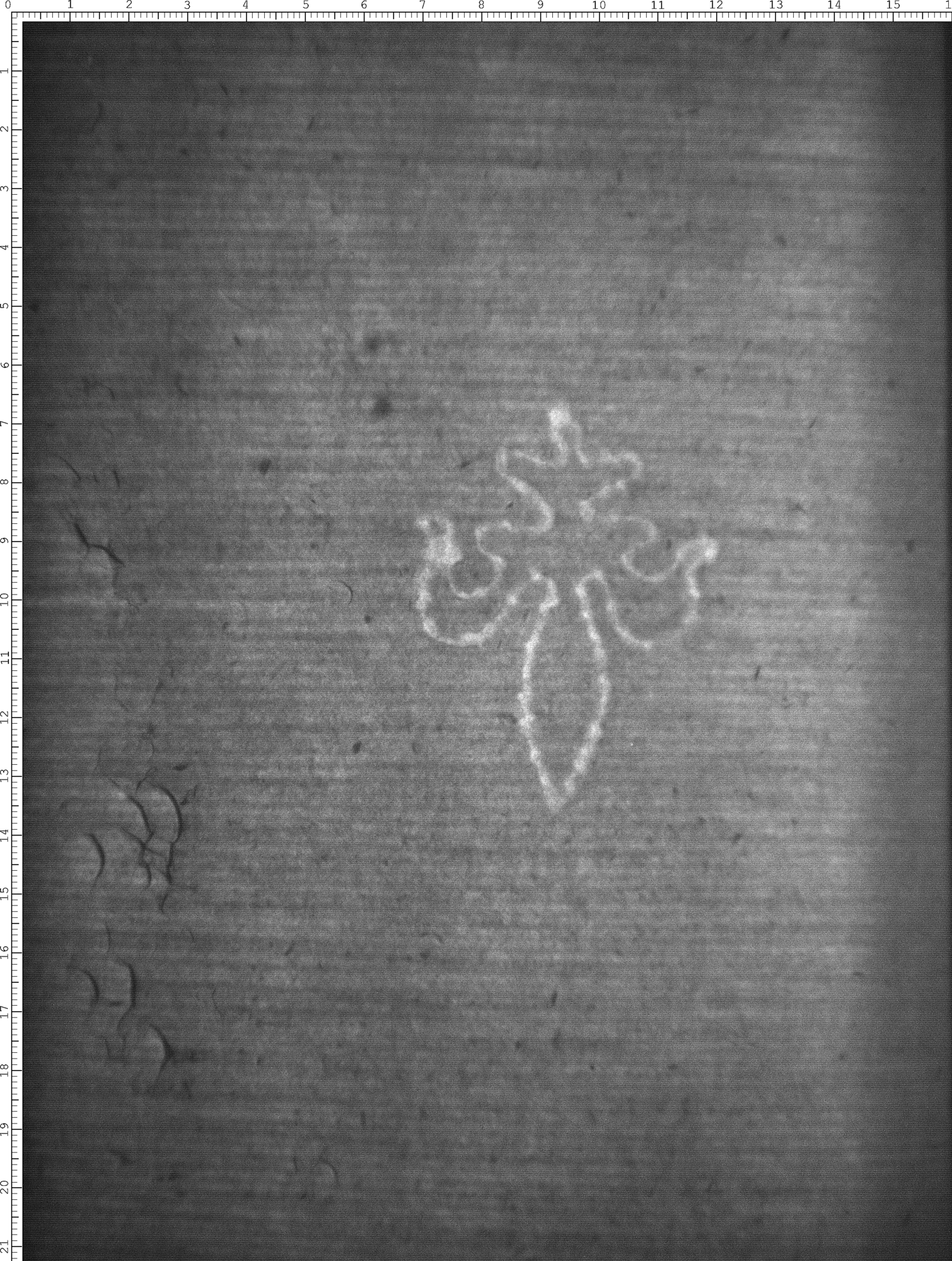 Watermark