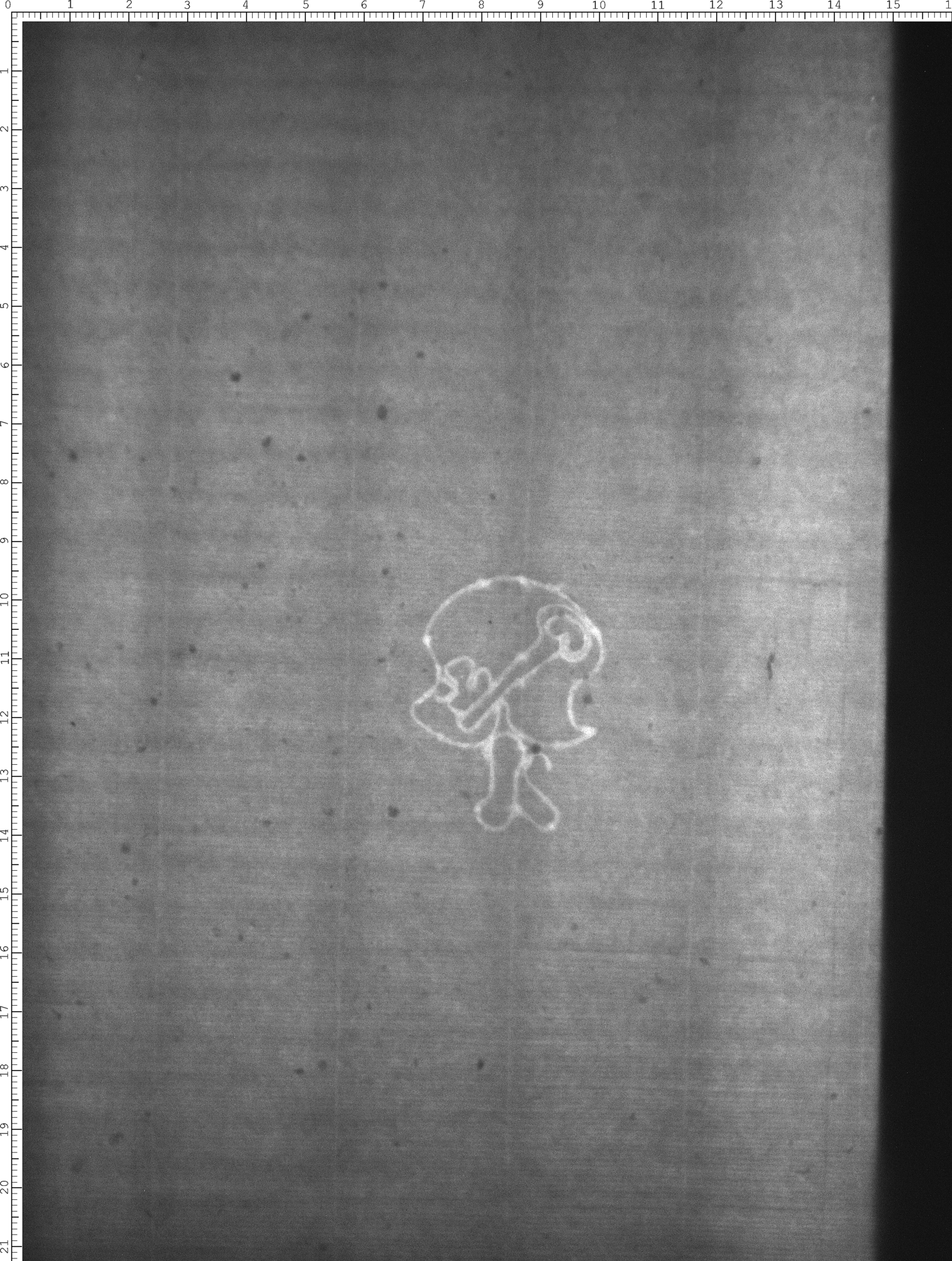 Watermark
