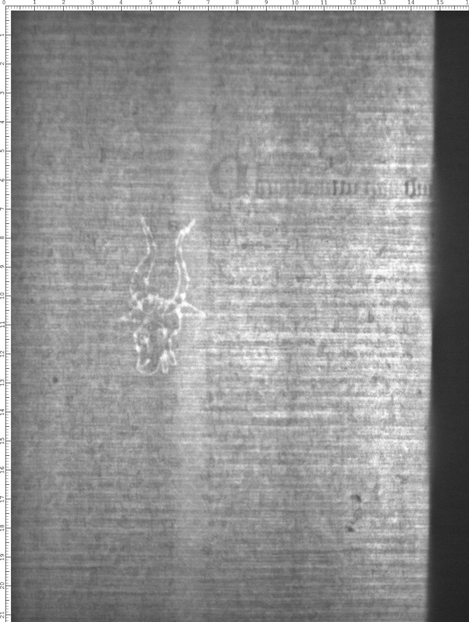 Watermark