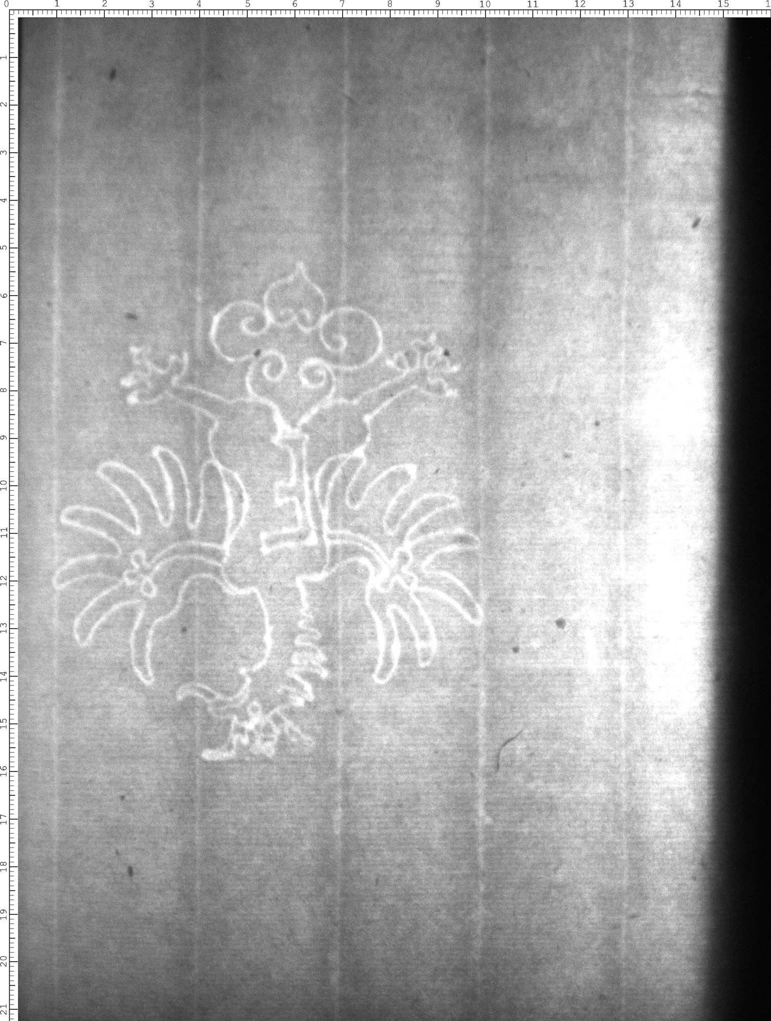Watermark