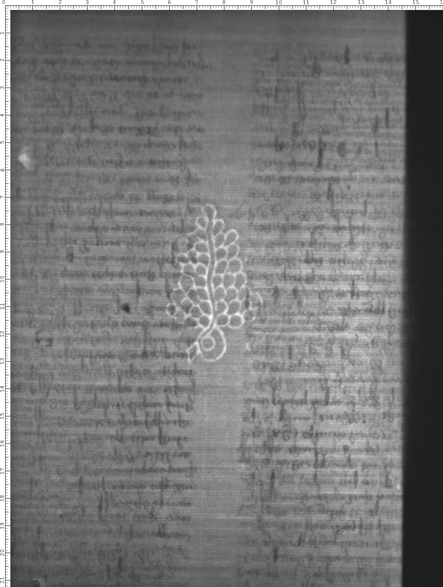 Watermark
