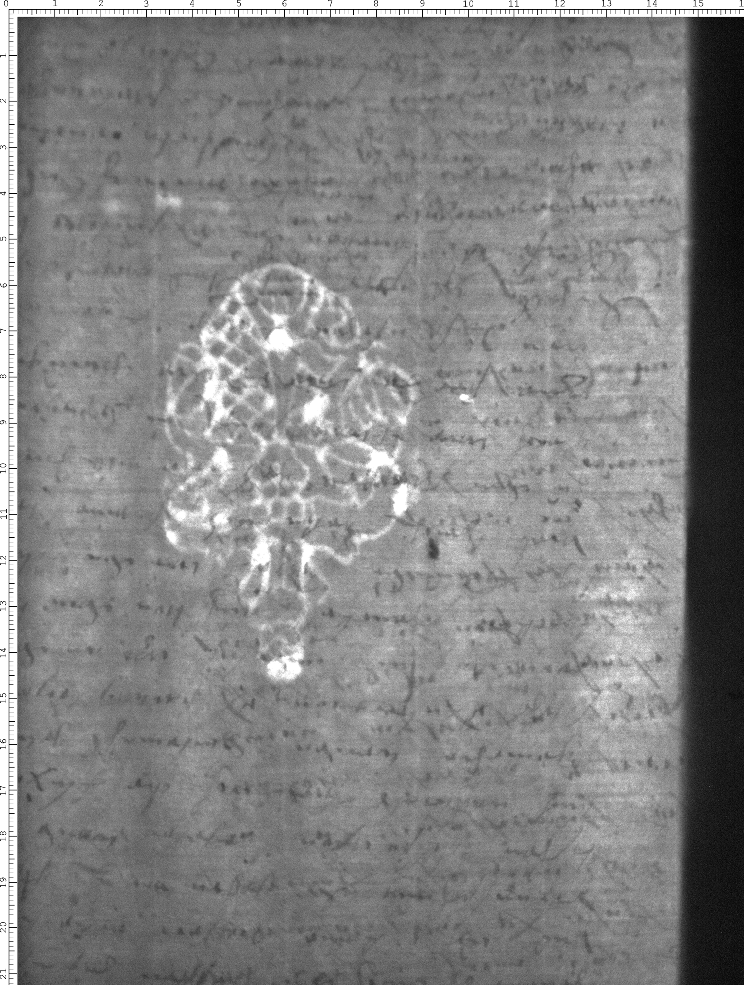 Watermark