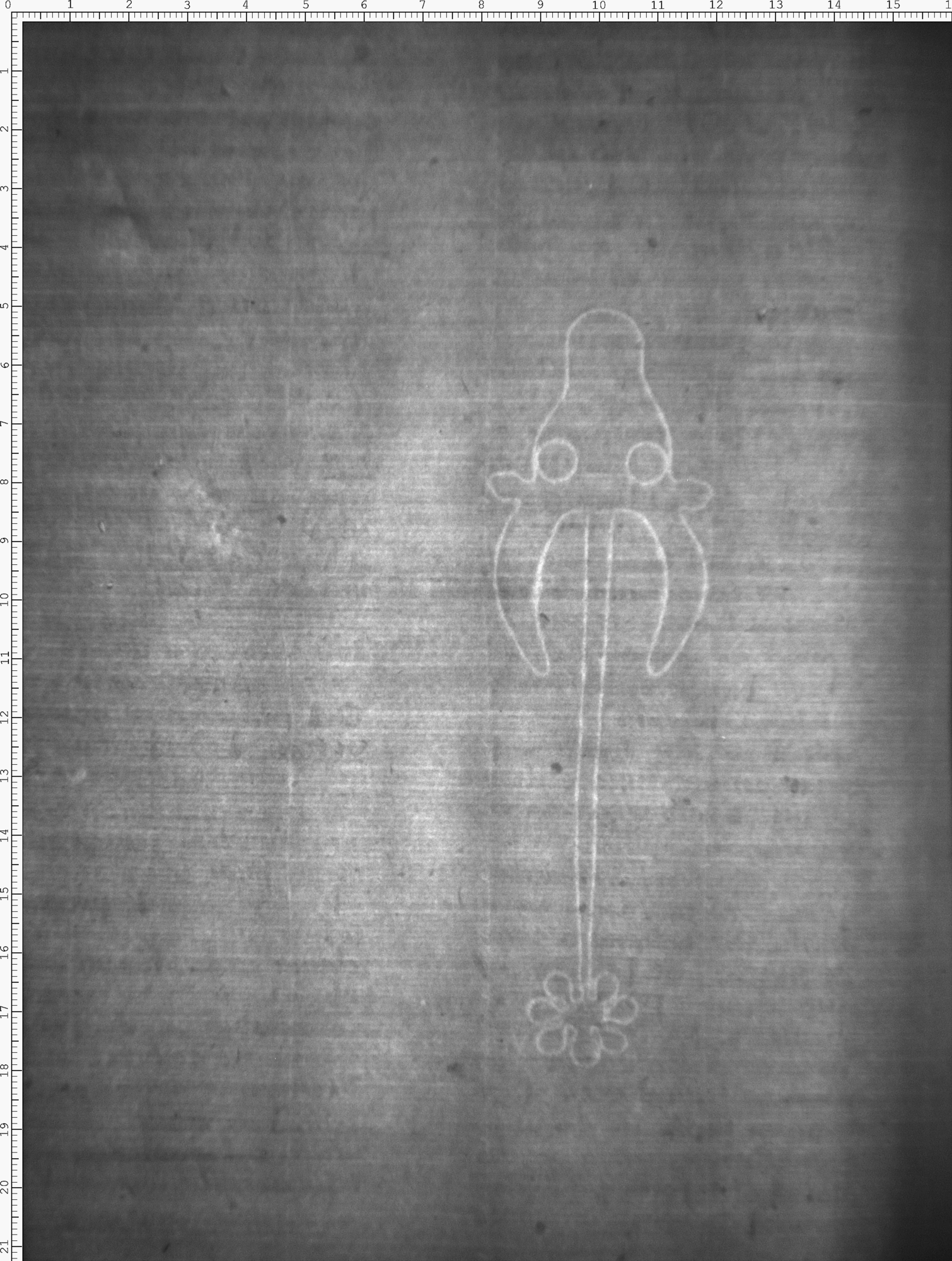 Watermark