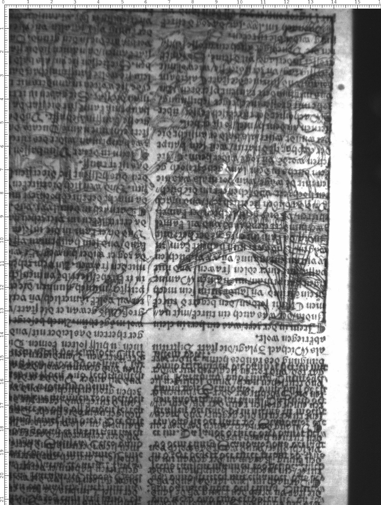 Watermark