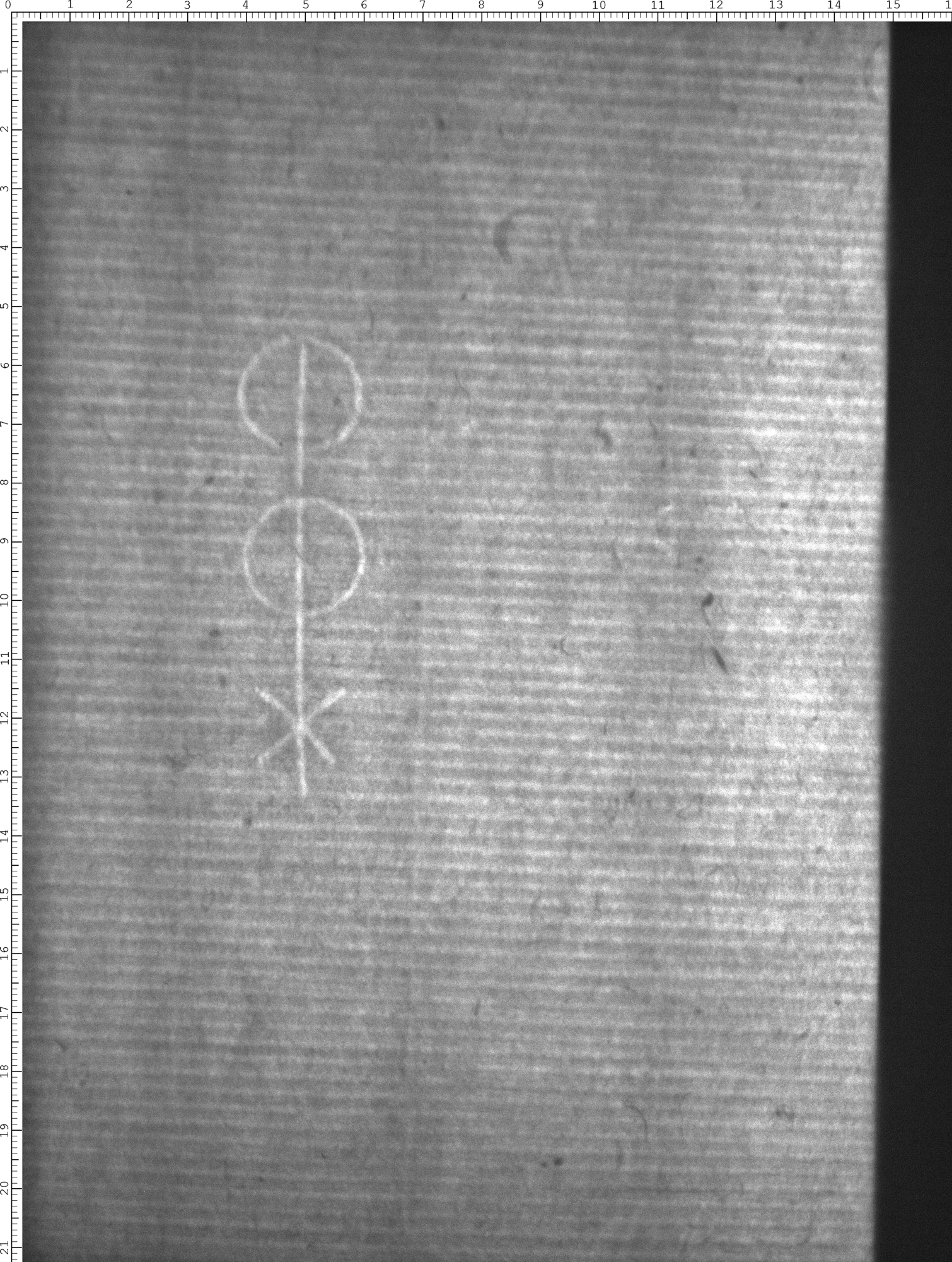 Watermark