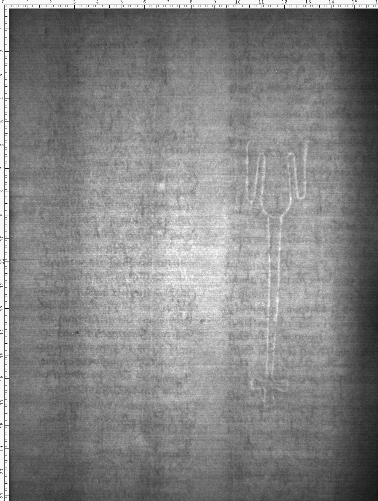 Watermark