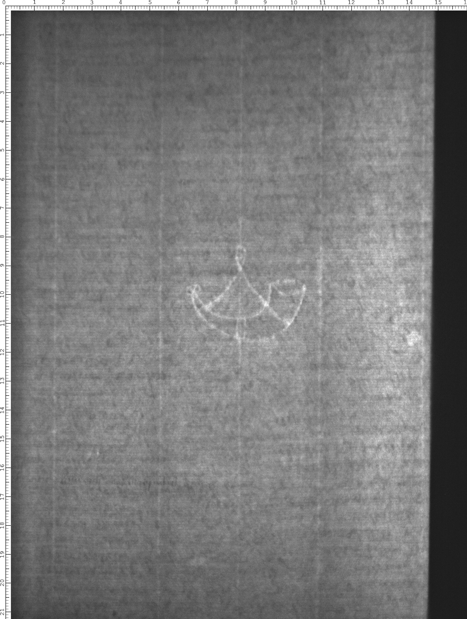 Watermark