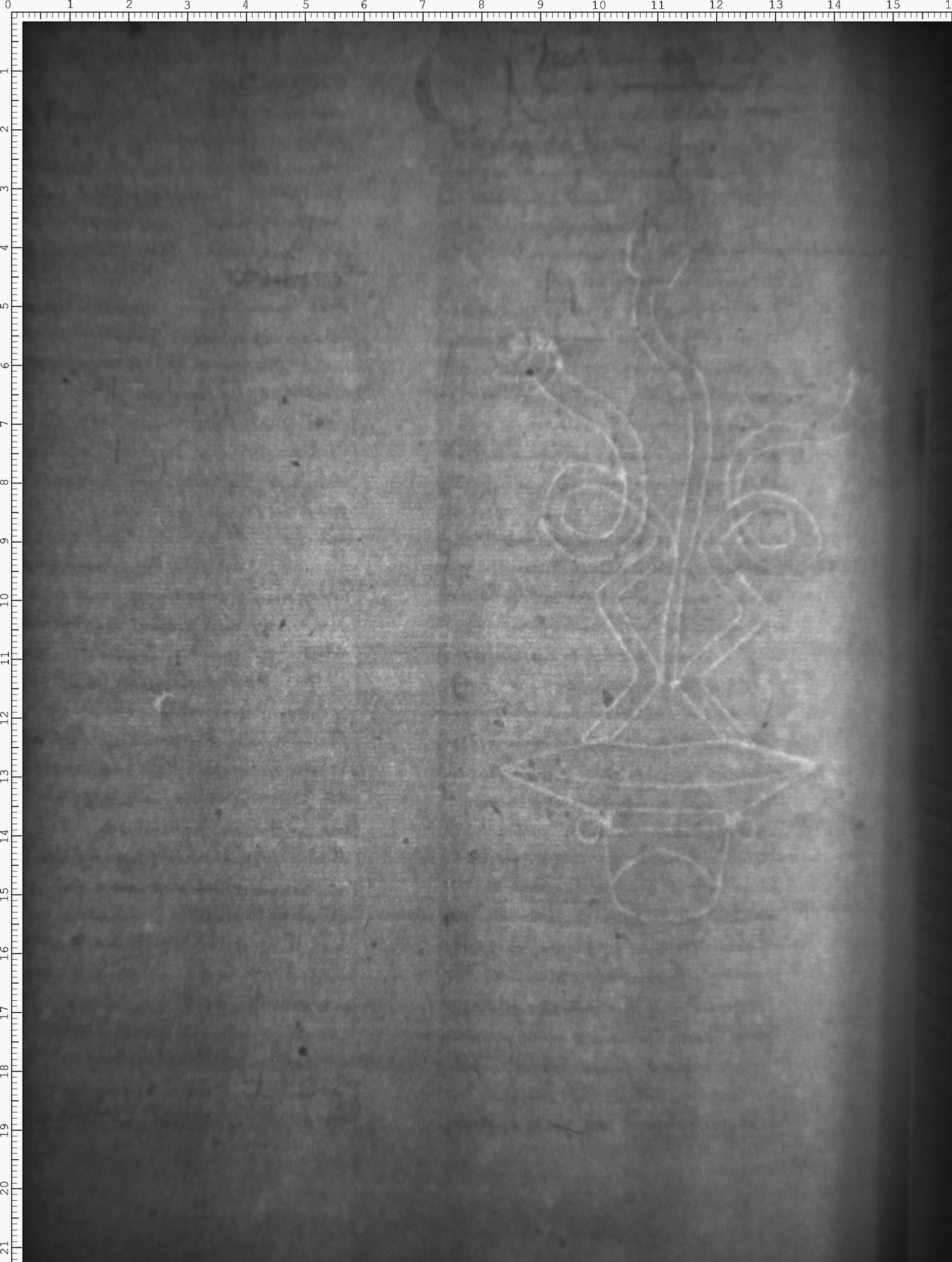 Watermark