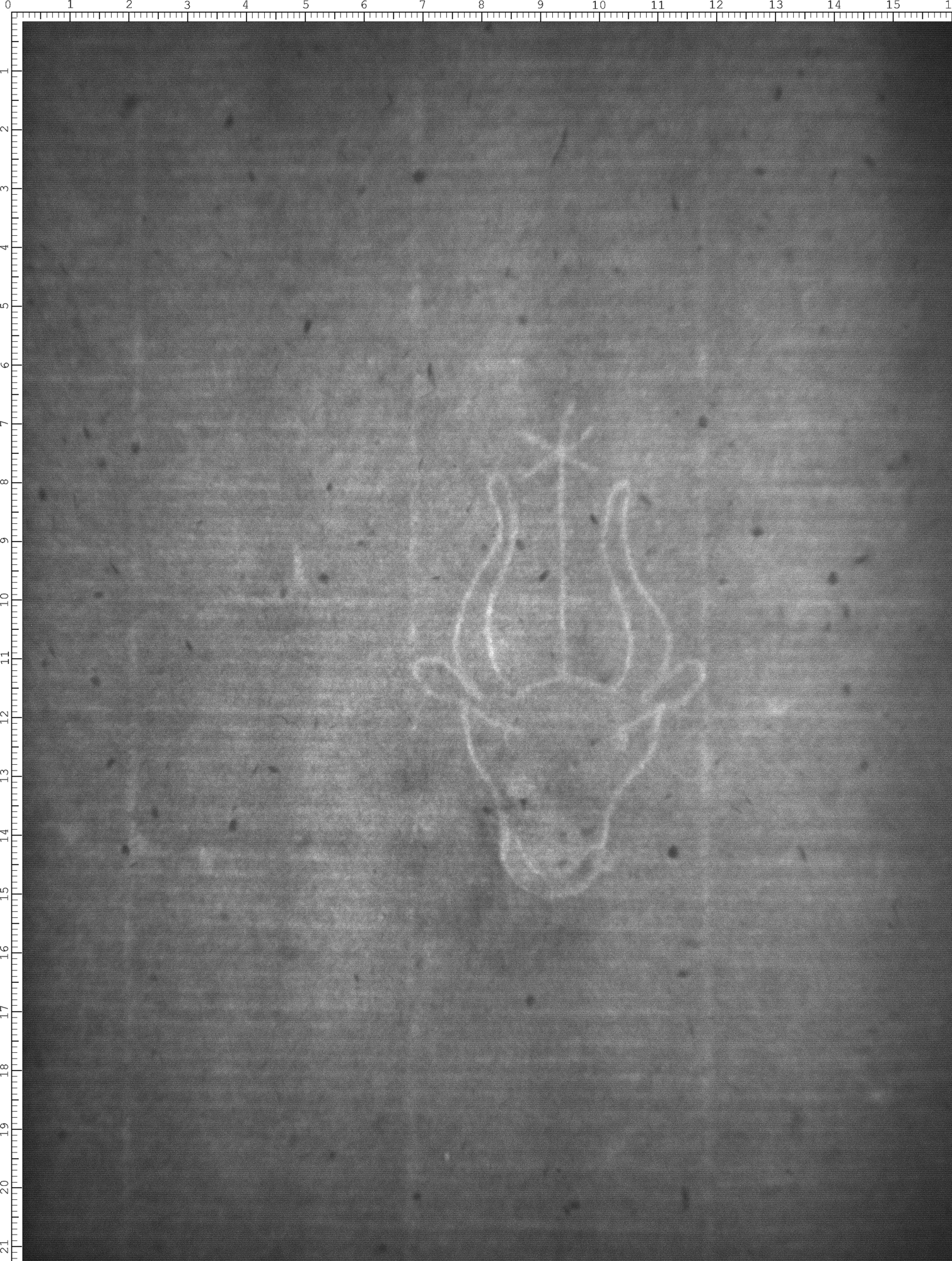 Watermark