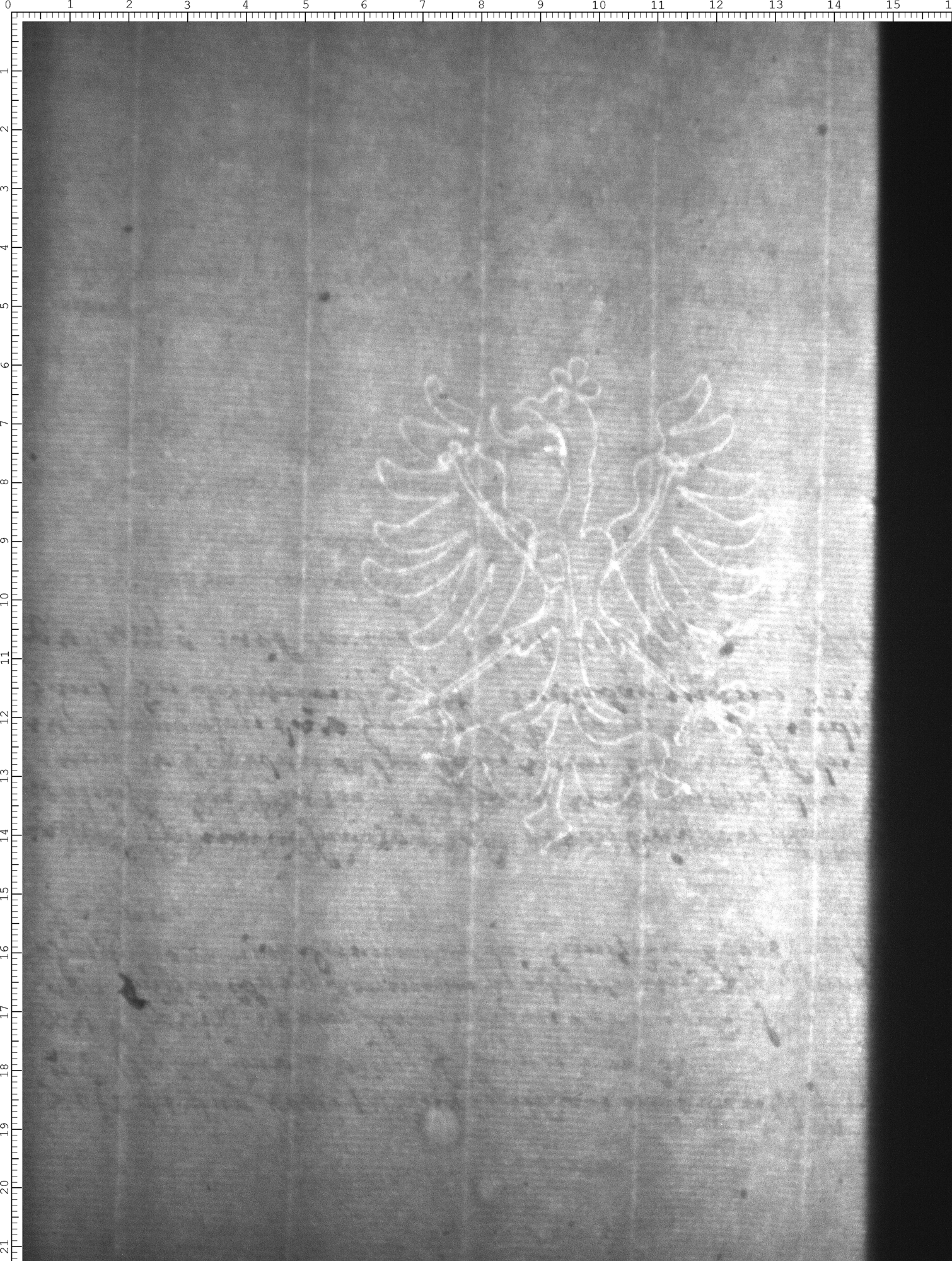 Watermark