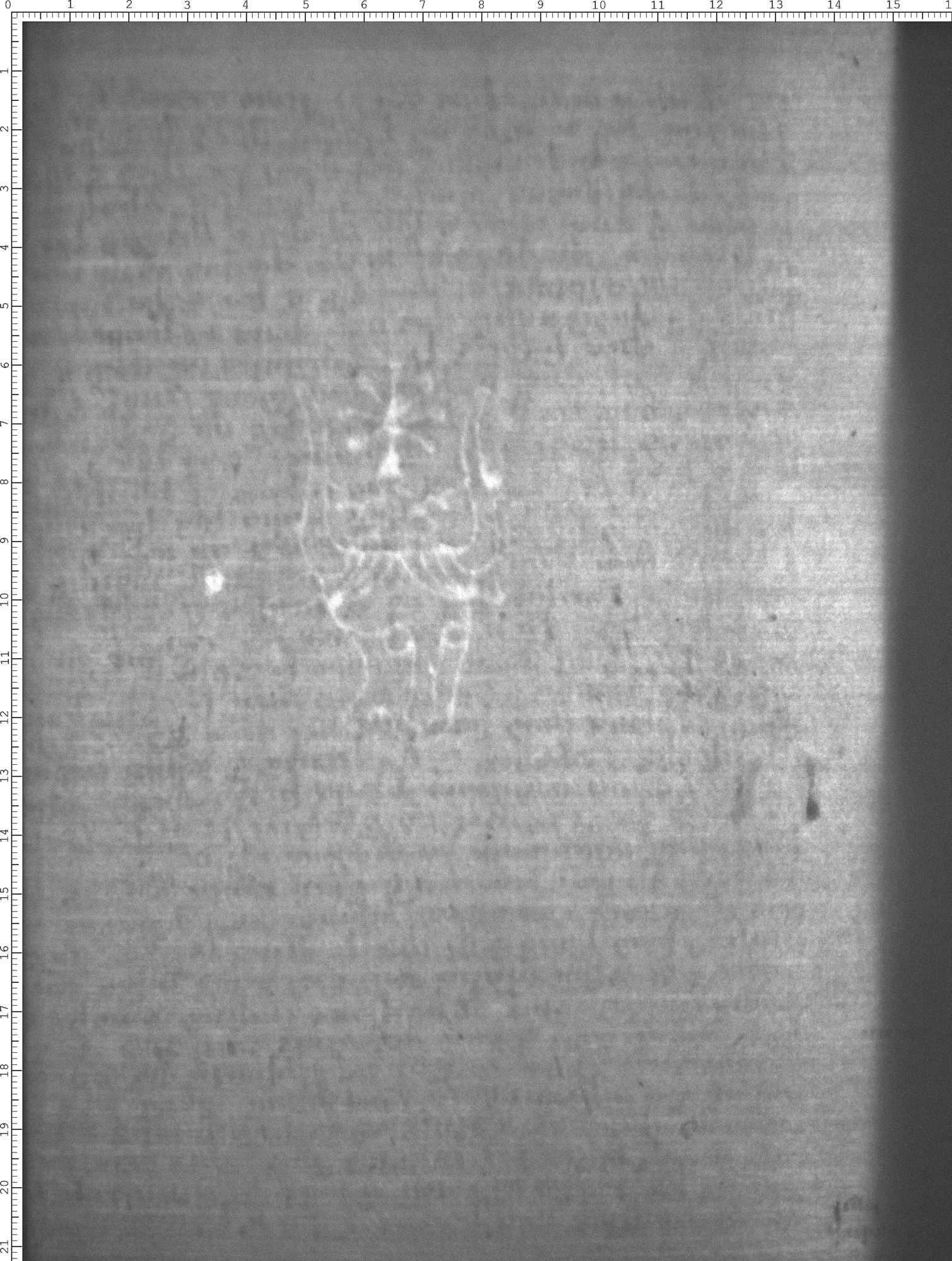 Watermark
