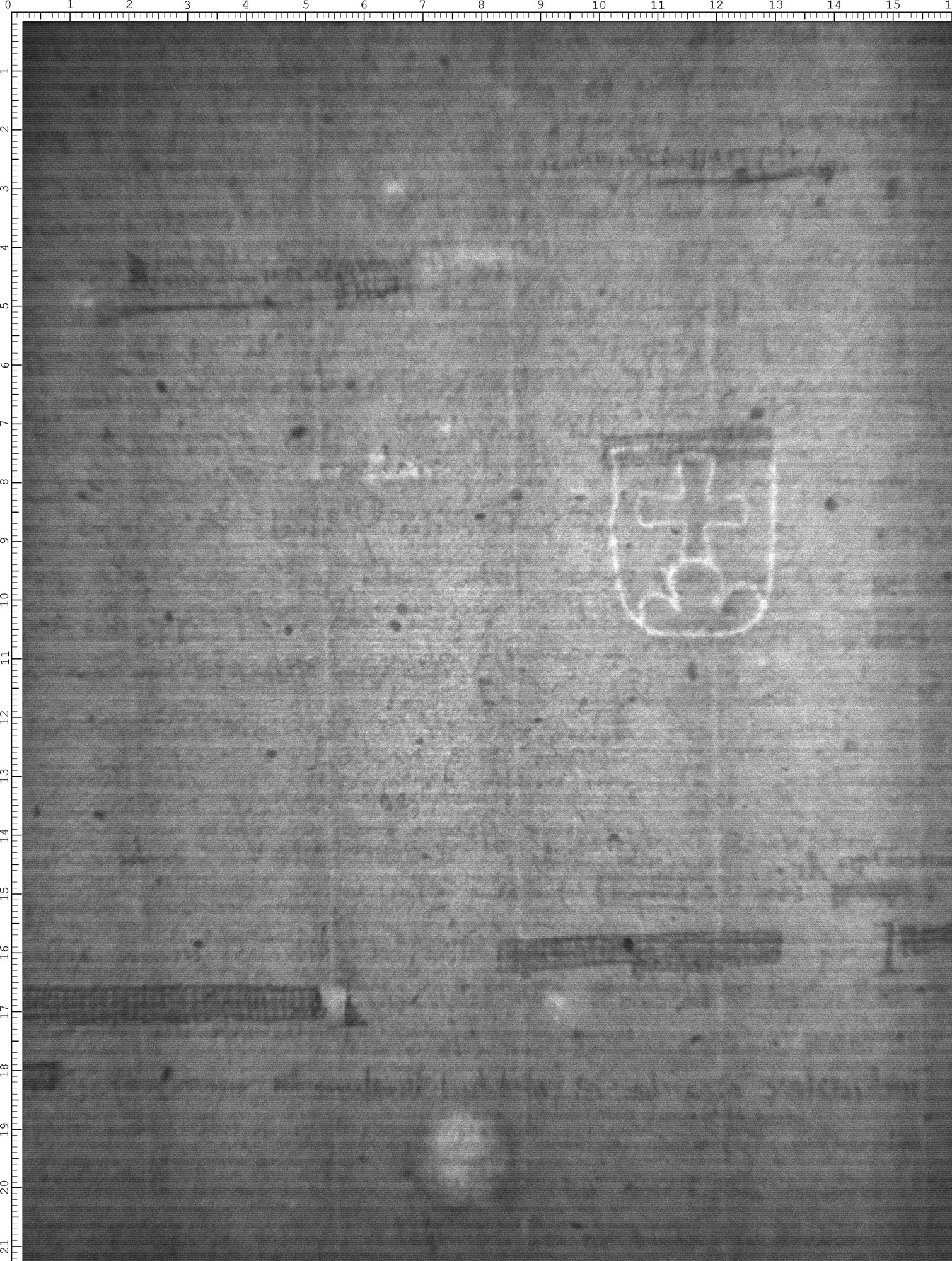 Watermark